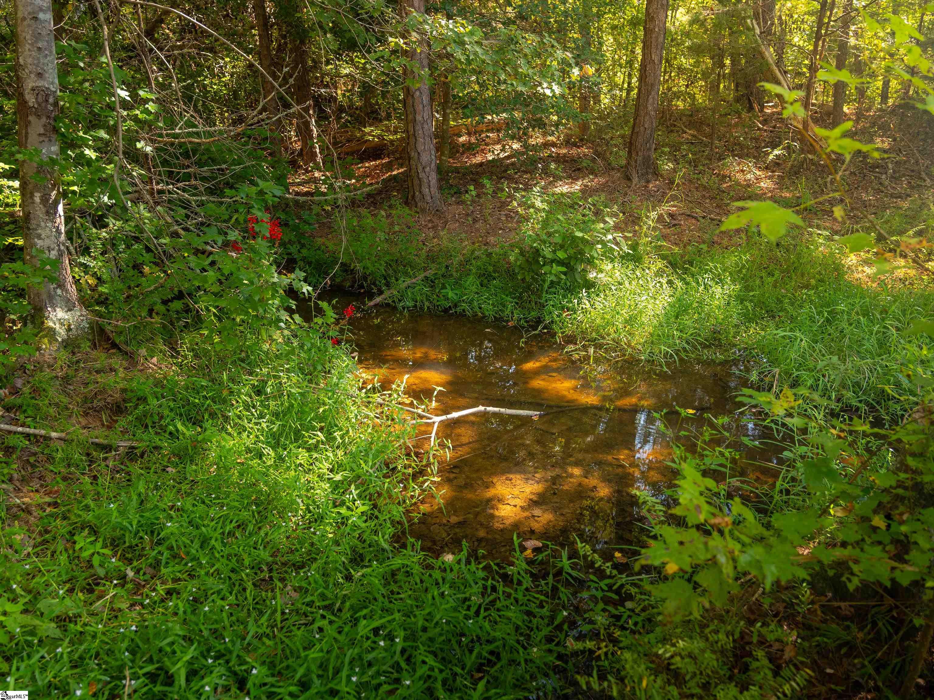 00 Nash Mill Road Fountain Inn, SC 29644
