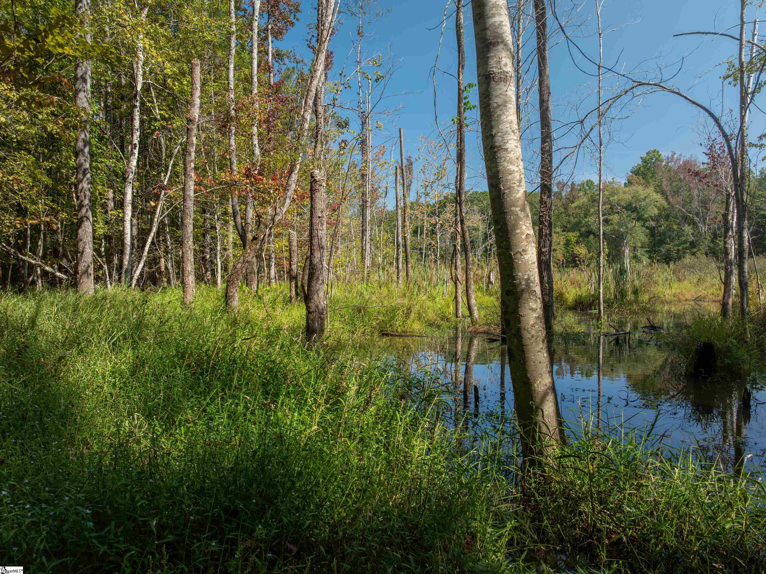 00 Nash Mill Road Fountain Inn, SC 29644