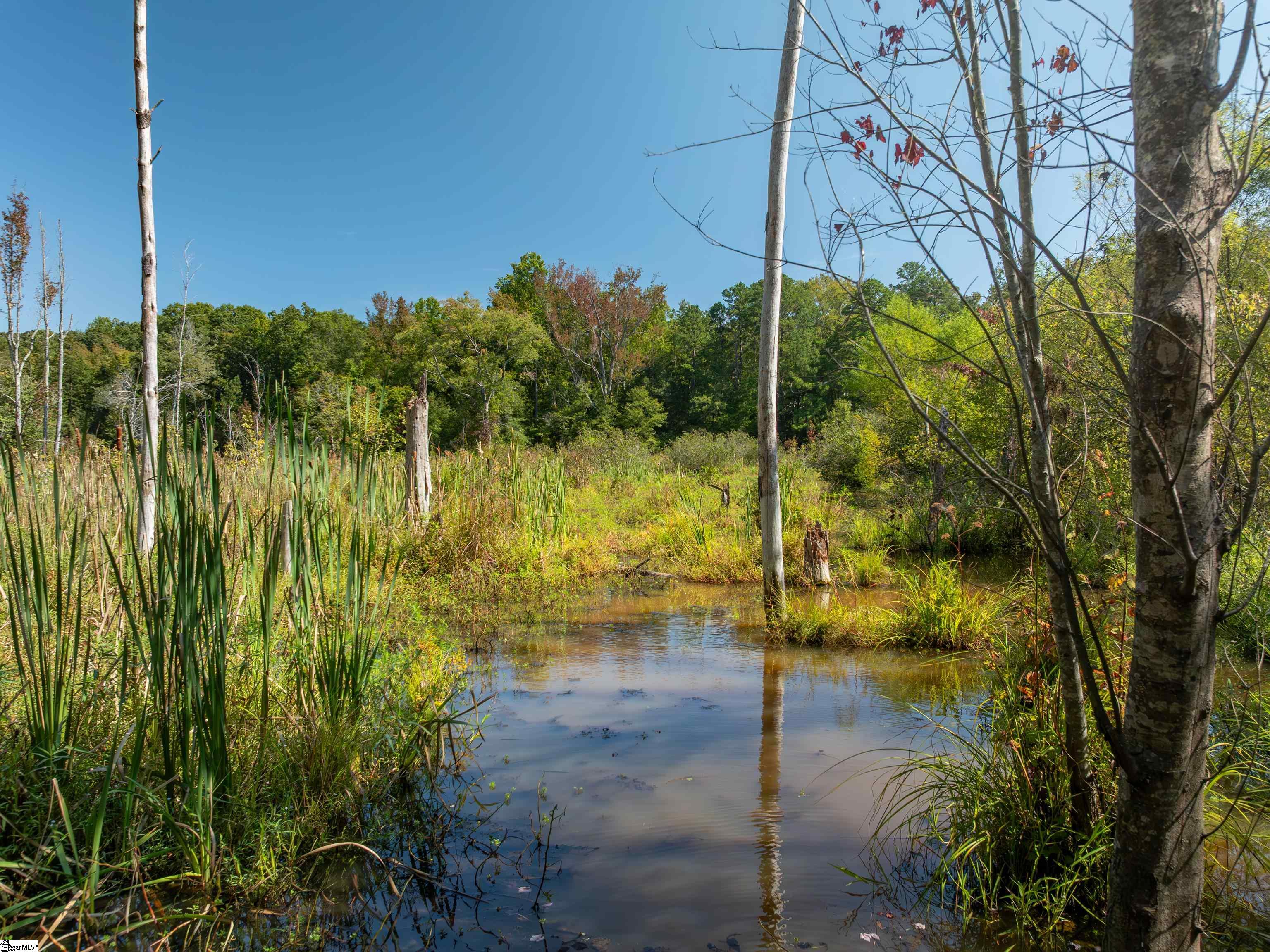 00 Nash Mill Road Fountain Inn, SC 29644