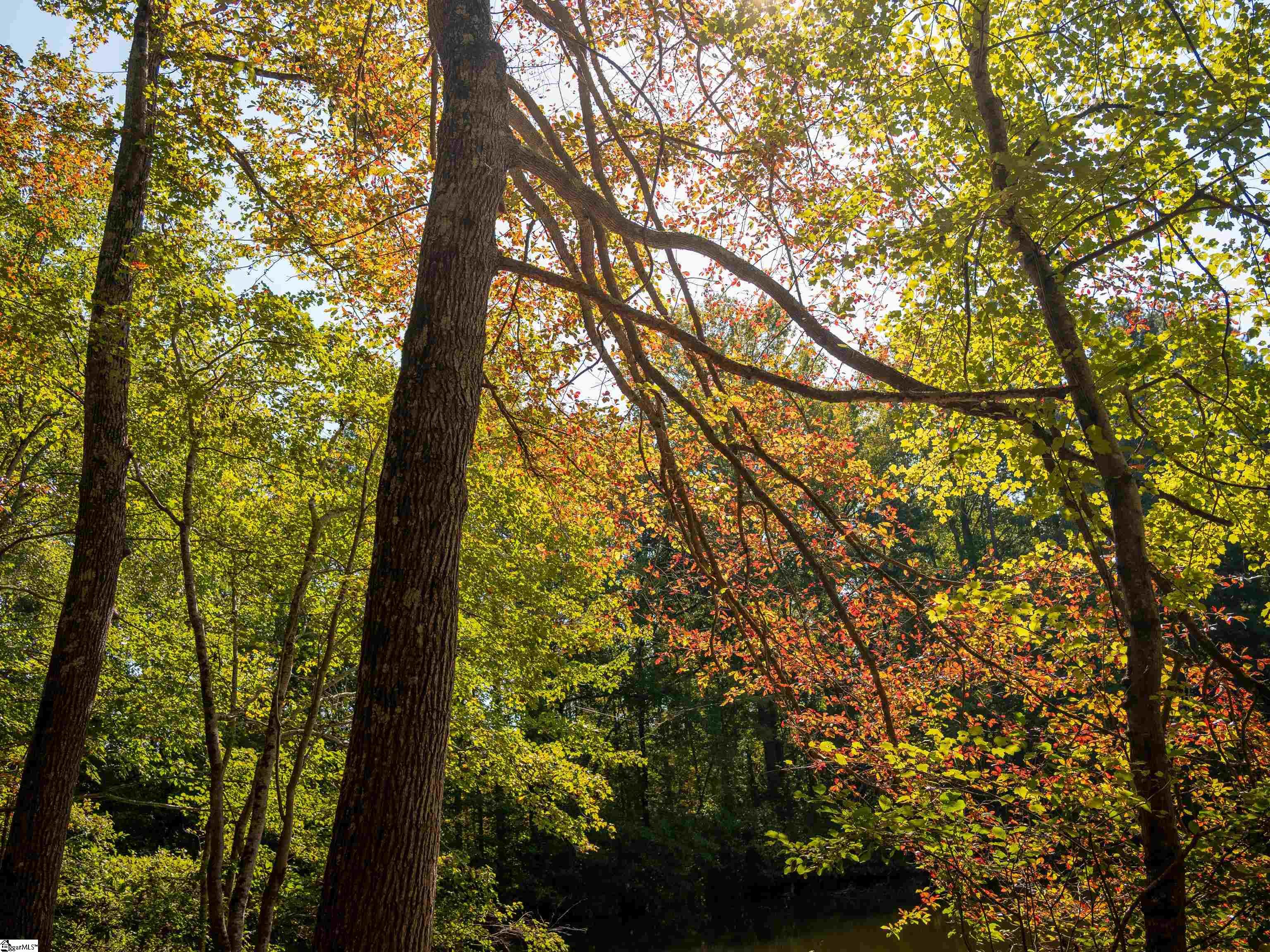 00 Nash Mill Road Fountain Inn, SC 29644