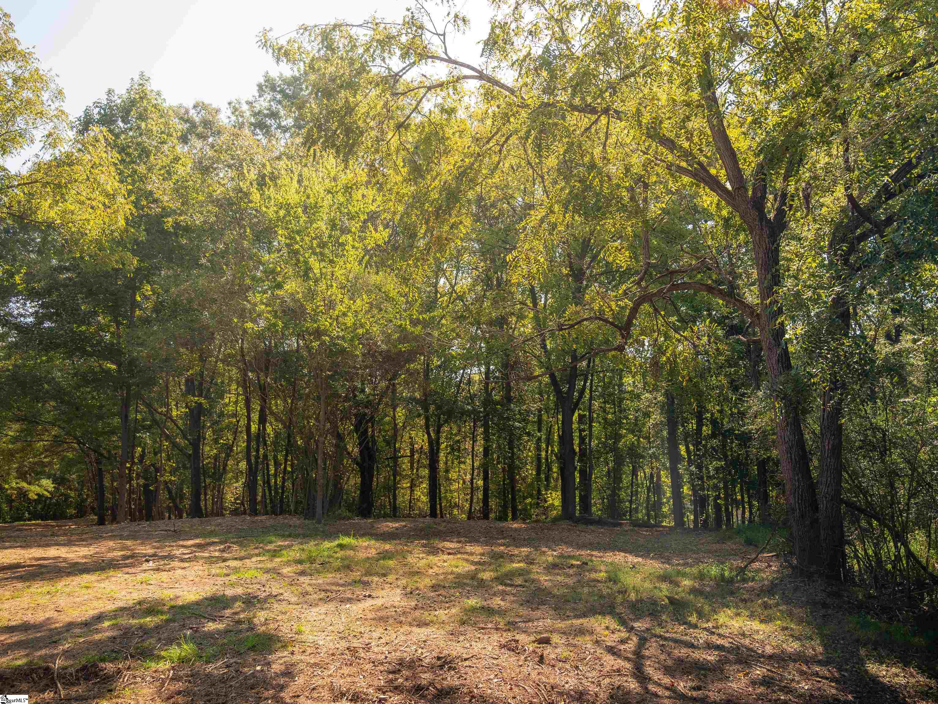 00 Nash Mill Road Fountain Inn, SC 29644