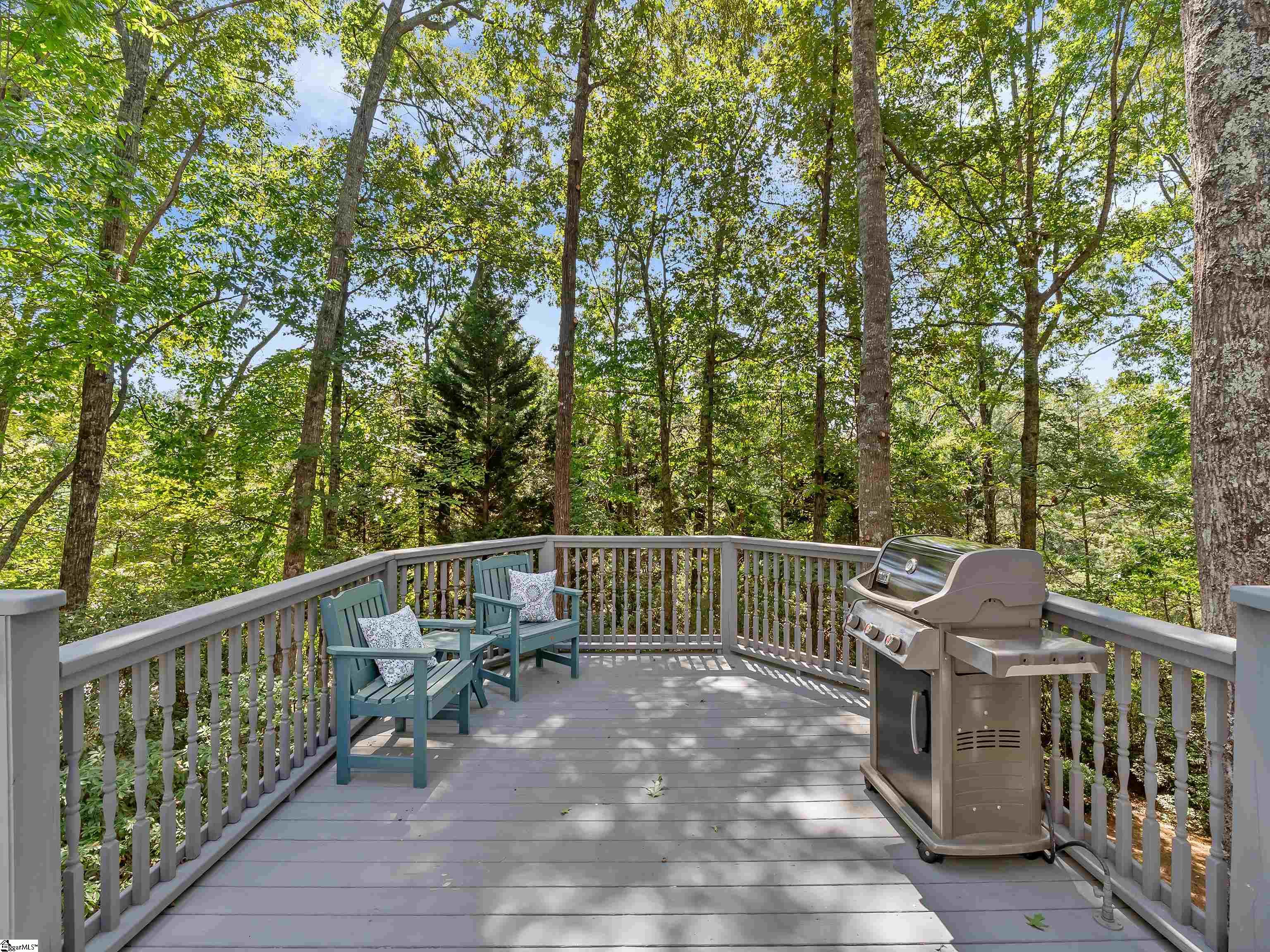 1 Thaxter Way Travelers Rest, SC 29690