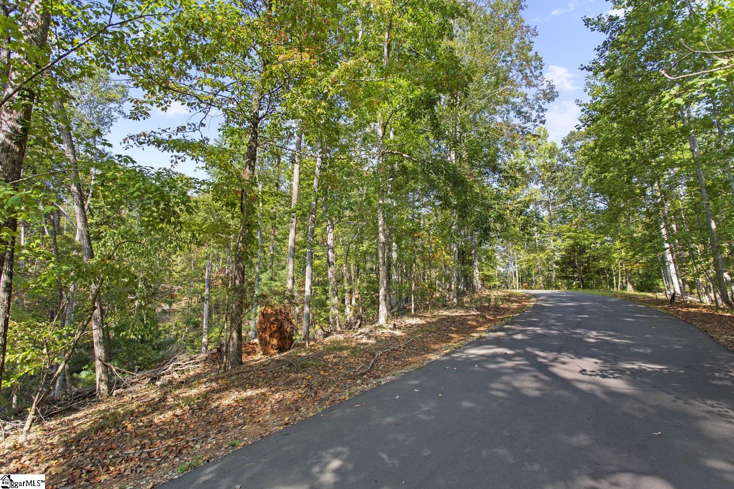 142 Summit Pine Sunset, SC 29685