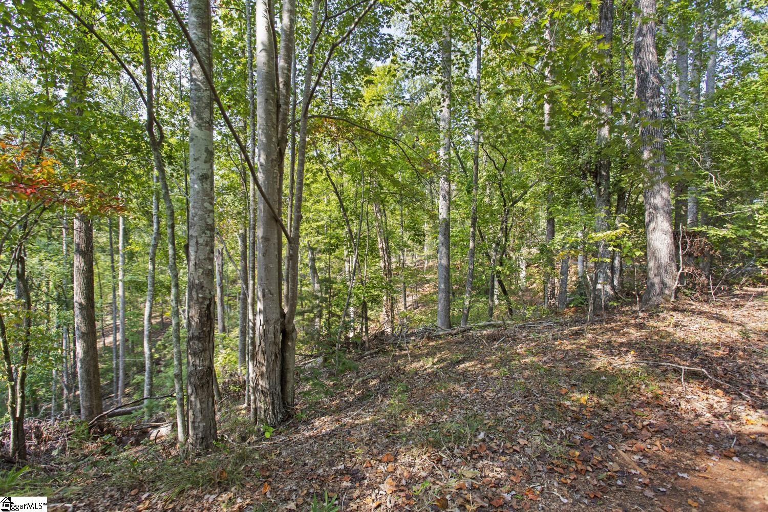 142 Summit Pine Sunset, SC 29685