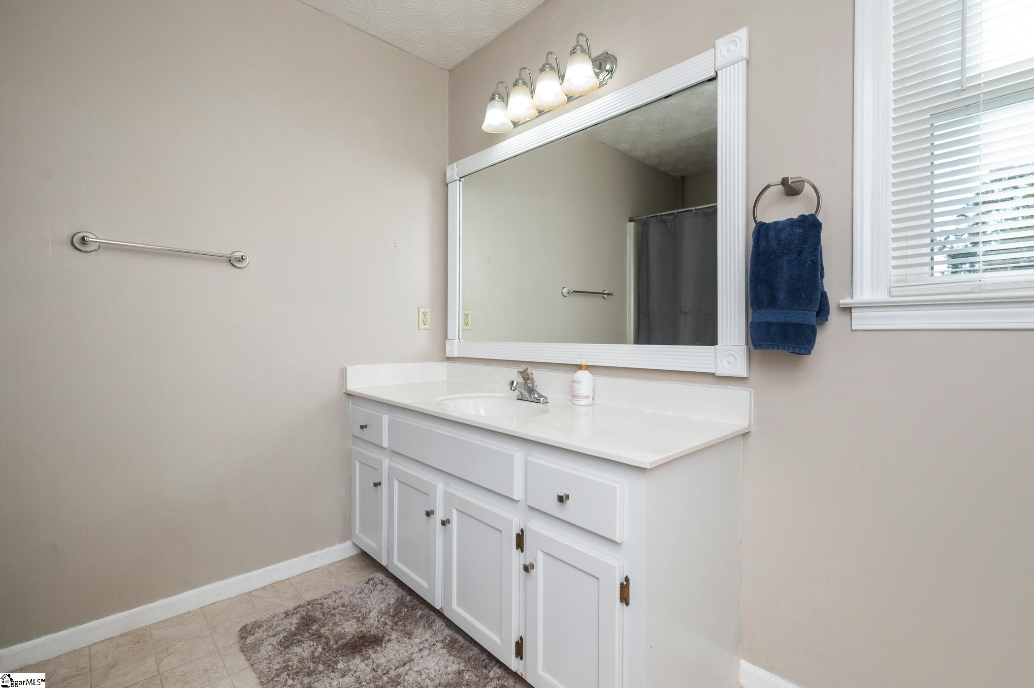 313 Shagbark Circle Simpsonville, SC 29680
