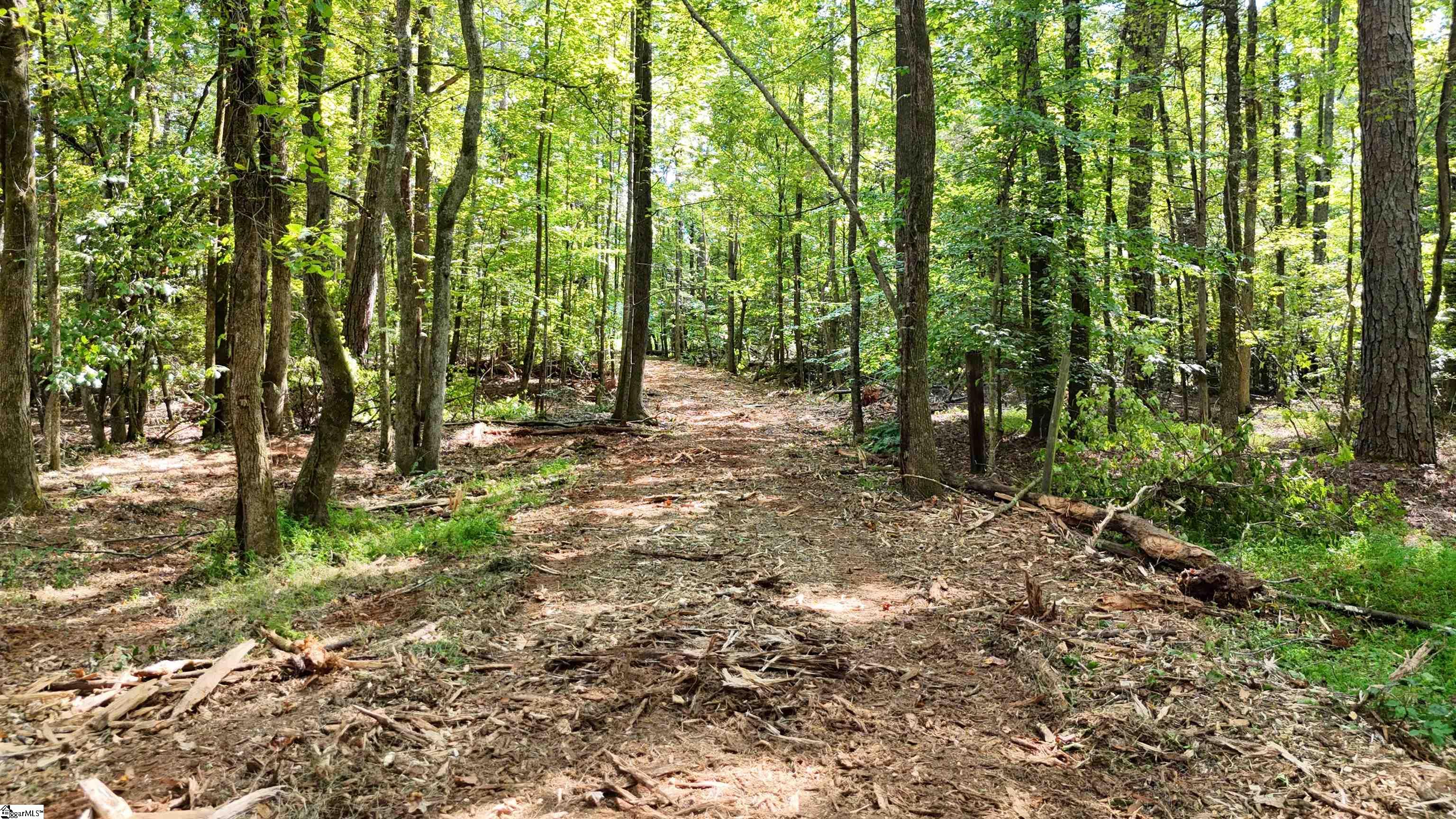 00 Dice Miller Road Moore, SC 29369