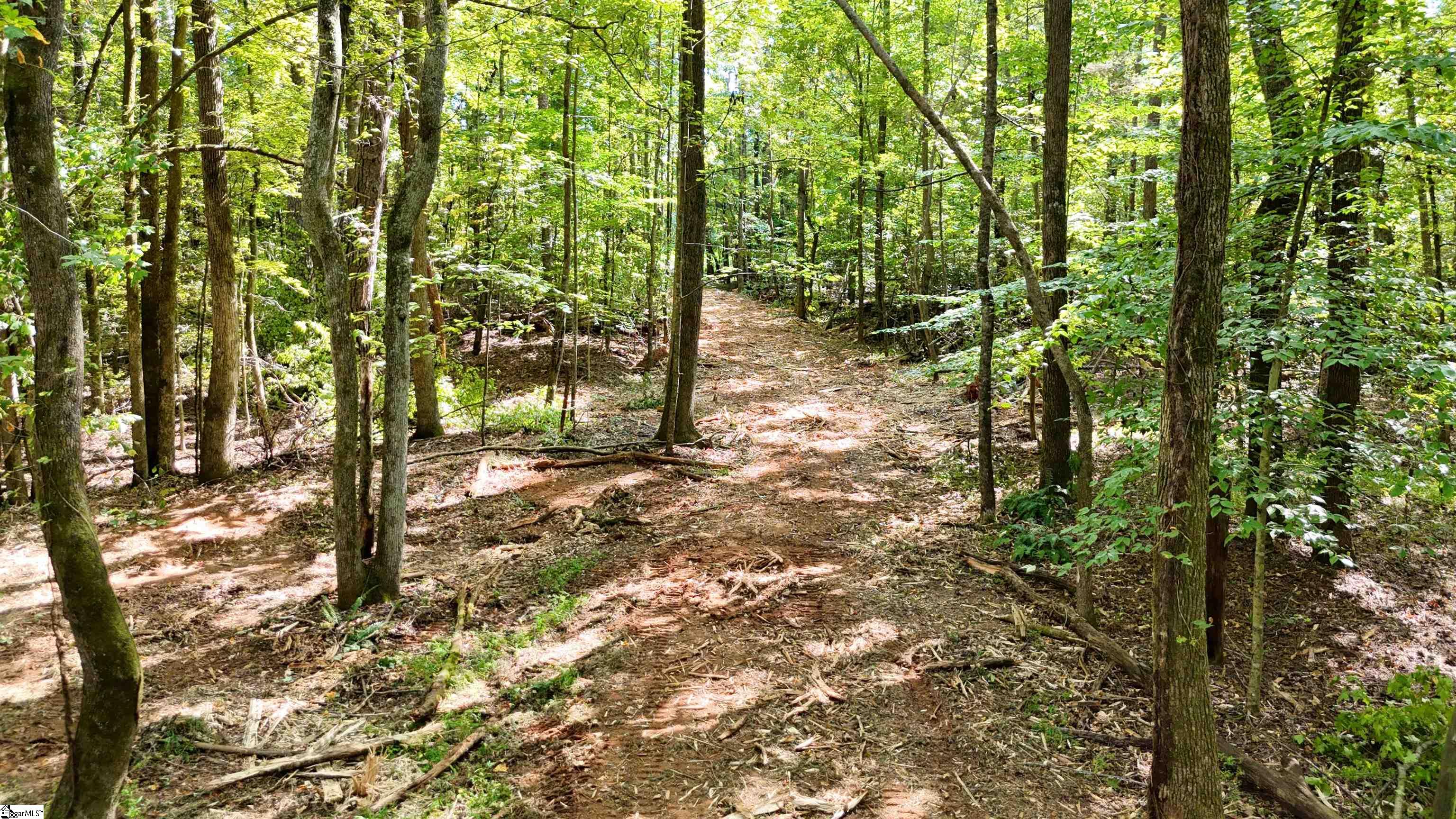 00 Dice Miller Road Moore, SC 29369