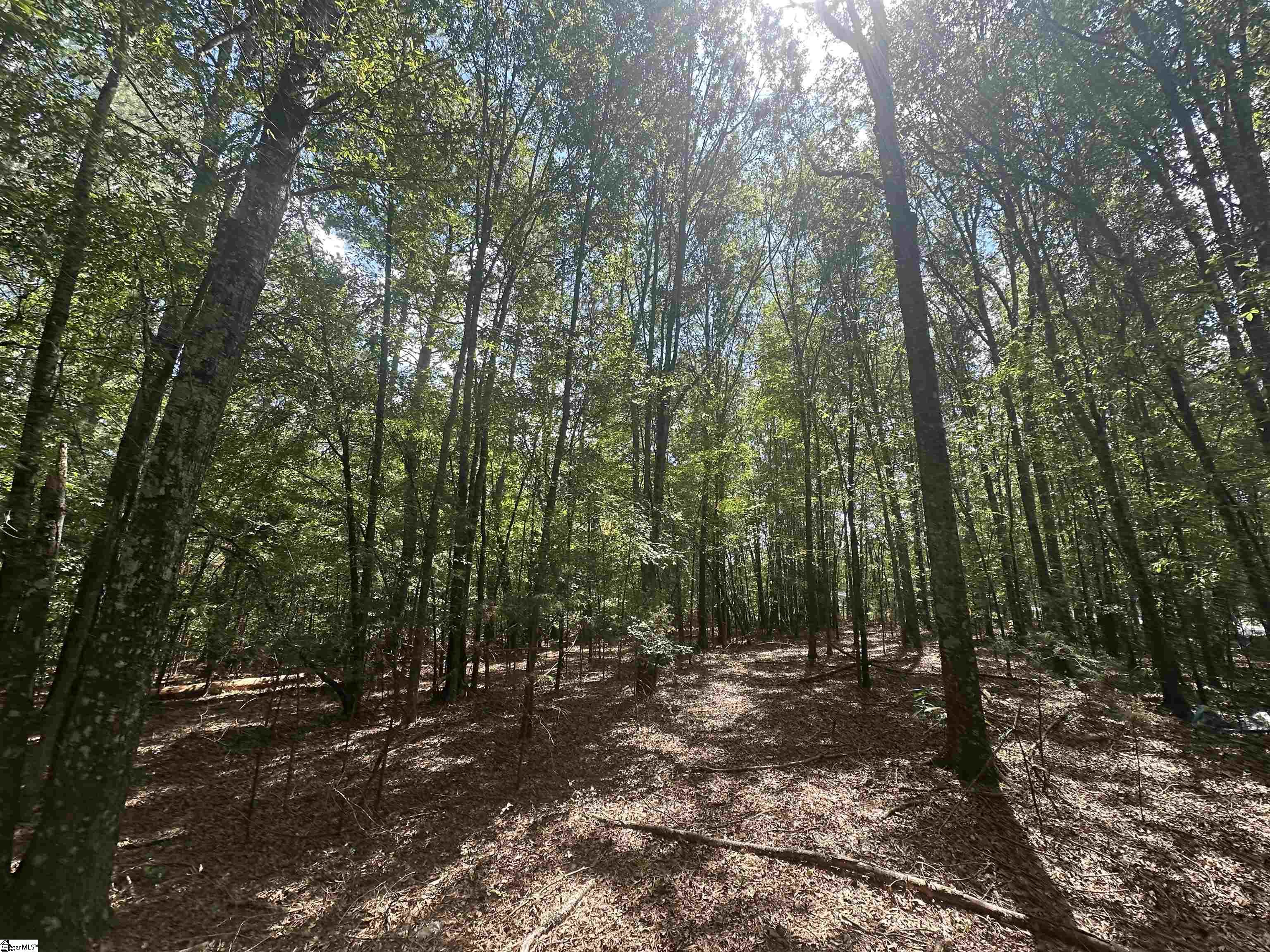 100 Watt Rogers Road Pelzer, SC 29669
