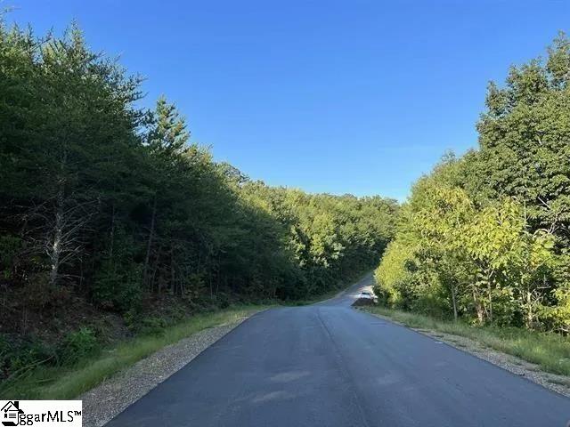 7 Packforest Road Taylors, SC 29687