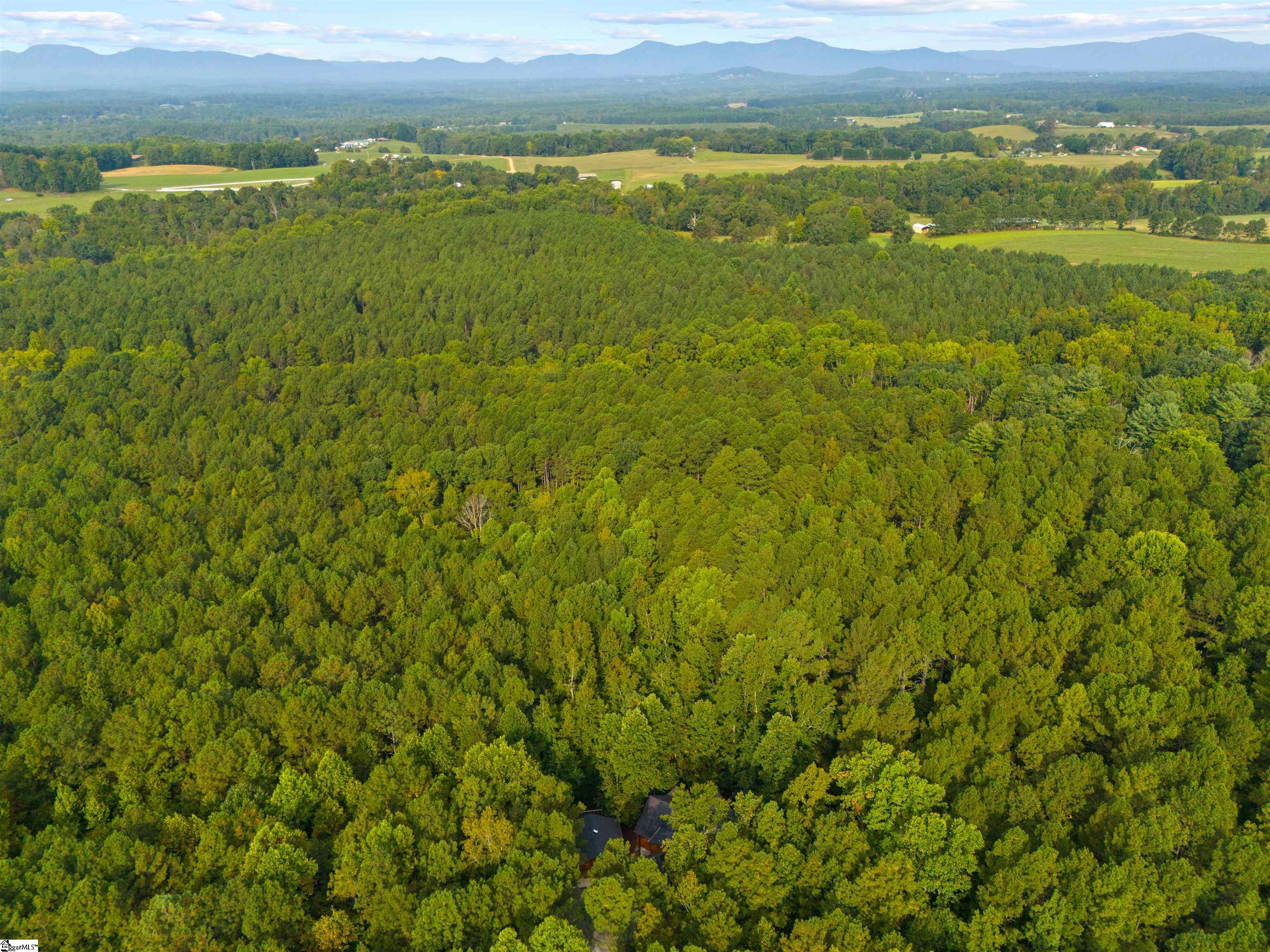 650 McDowell Road Columbus, NC 28722