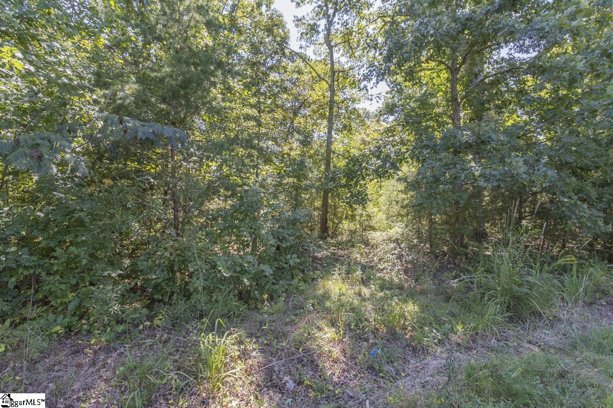 00 Henry Jones Drive Easley, SC 29640