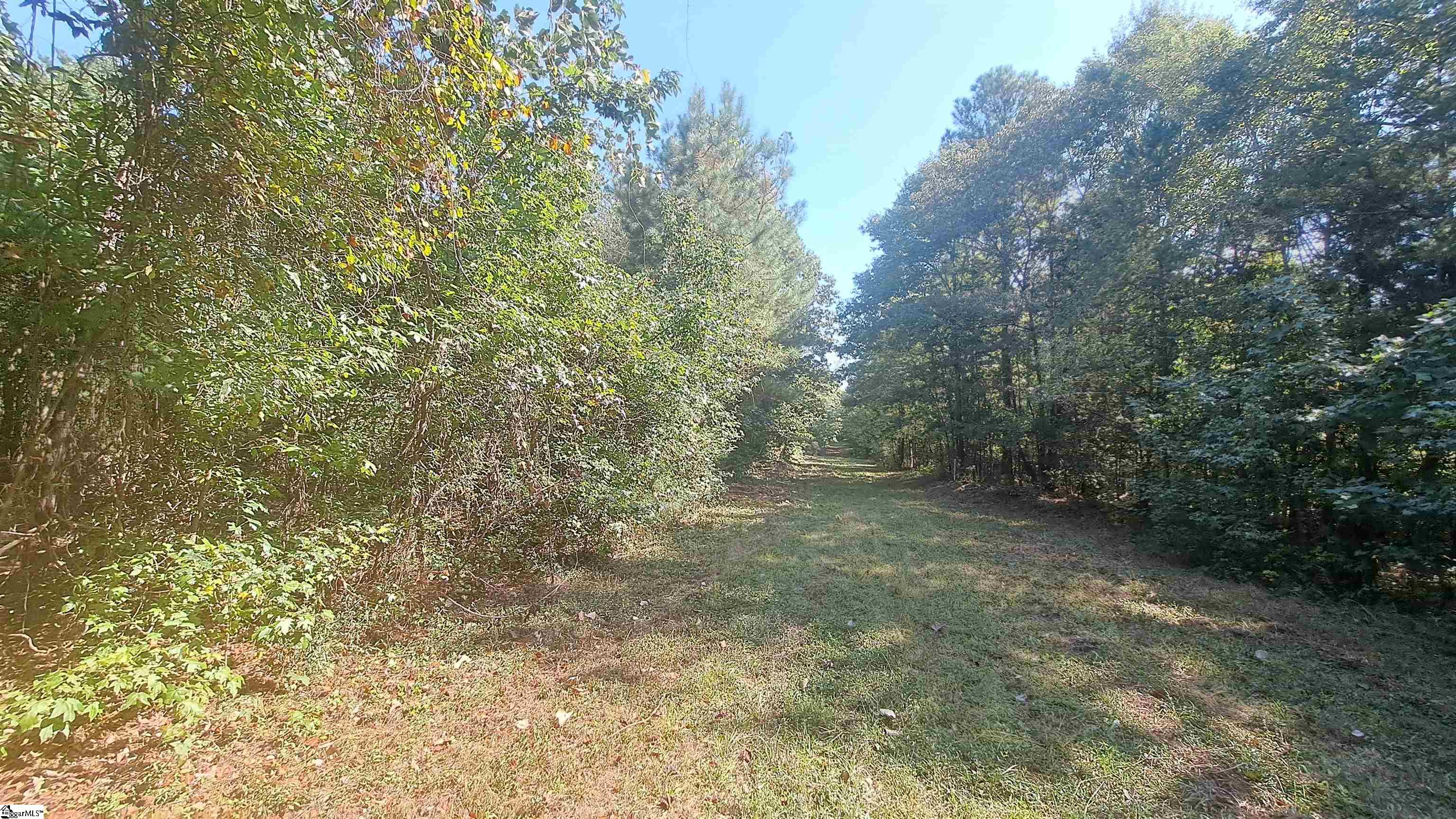 726 Bill Pearson Road Woodruff, SC 29388