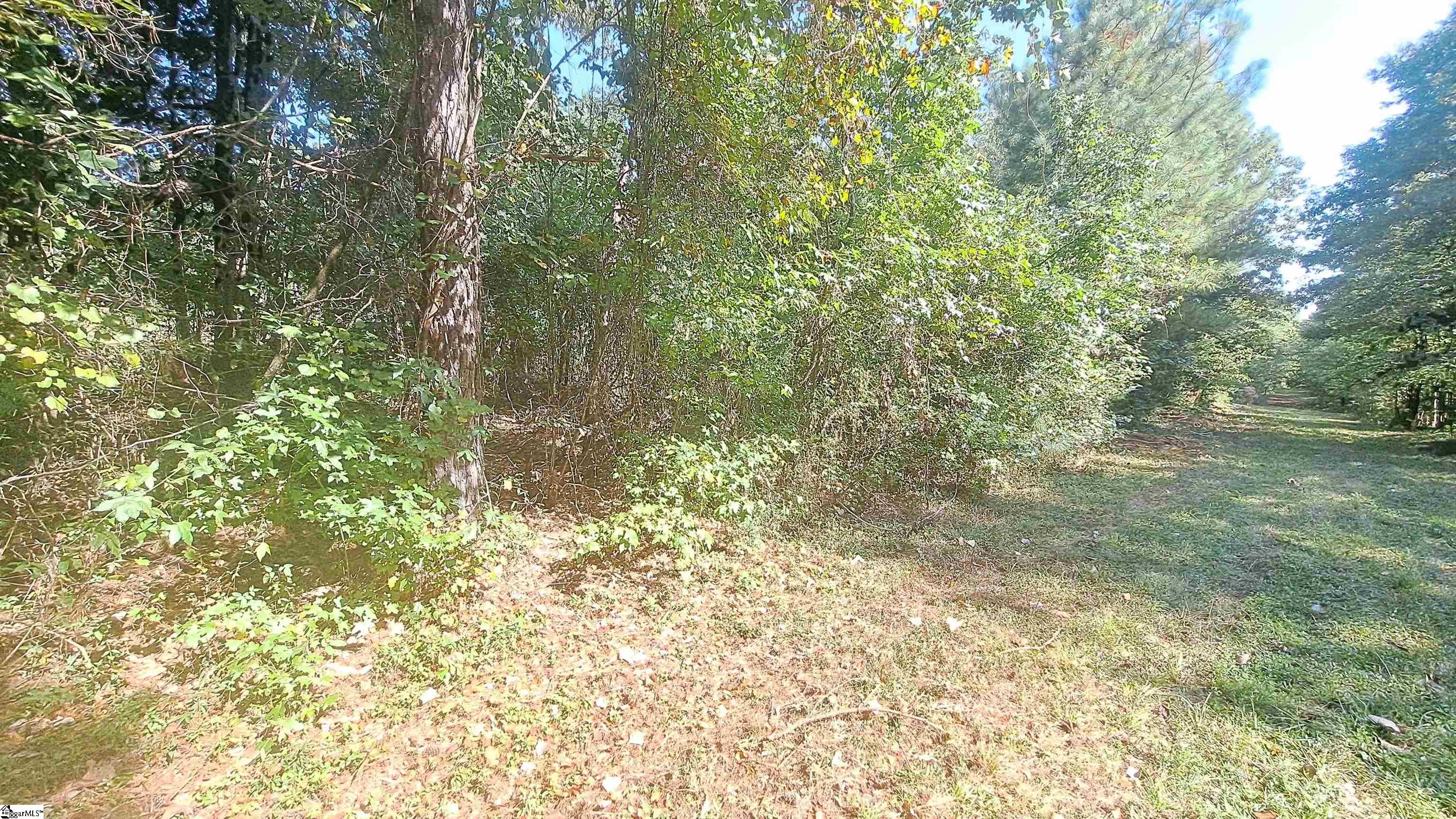 726 Bill Pearson Road Woodruff, SC 29388