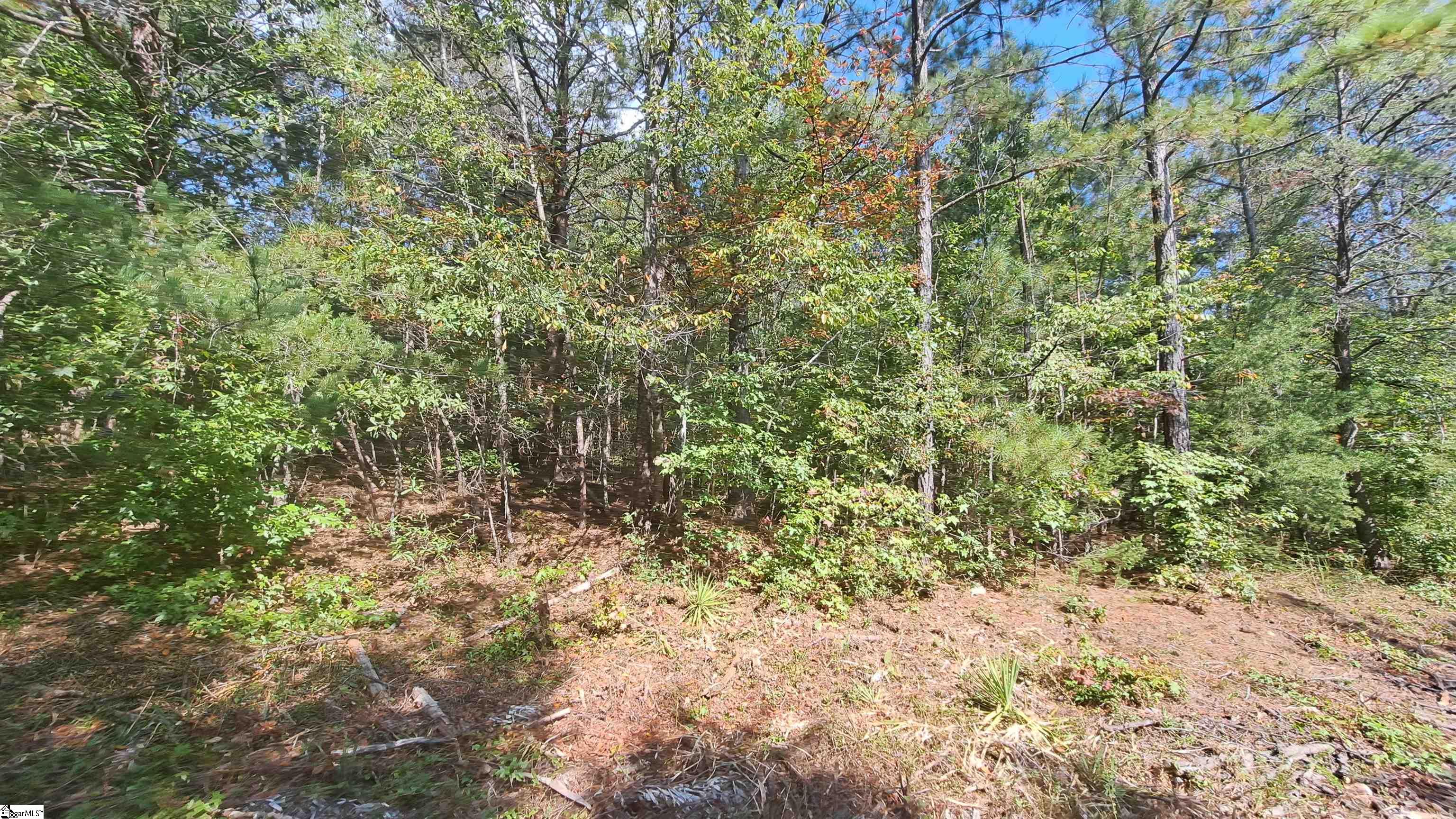 726 Bill Pearson Road Woodruff, SC 29388