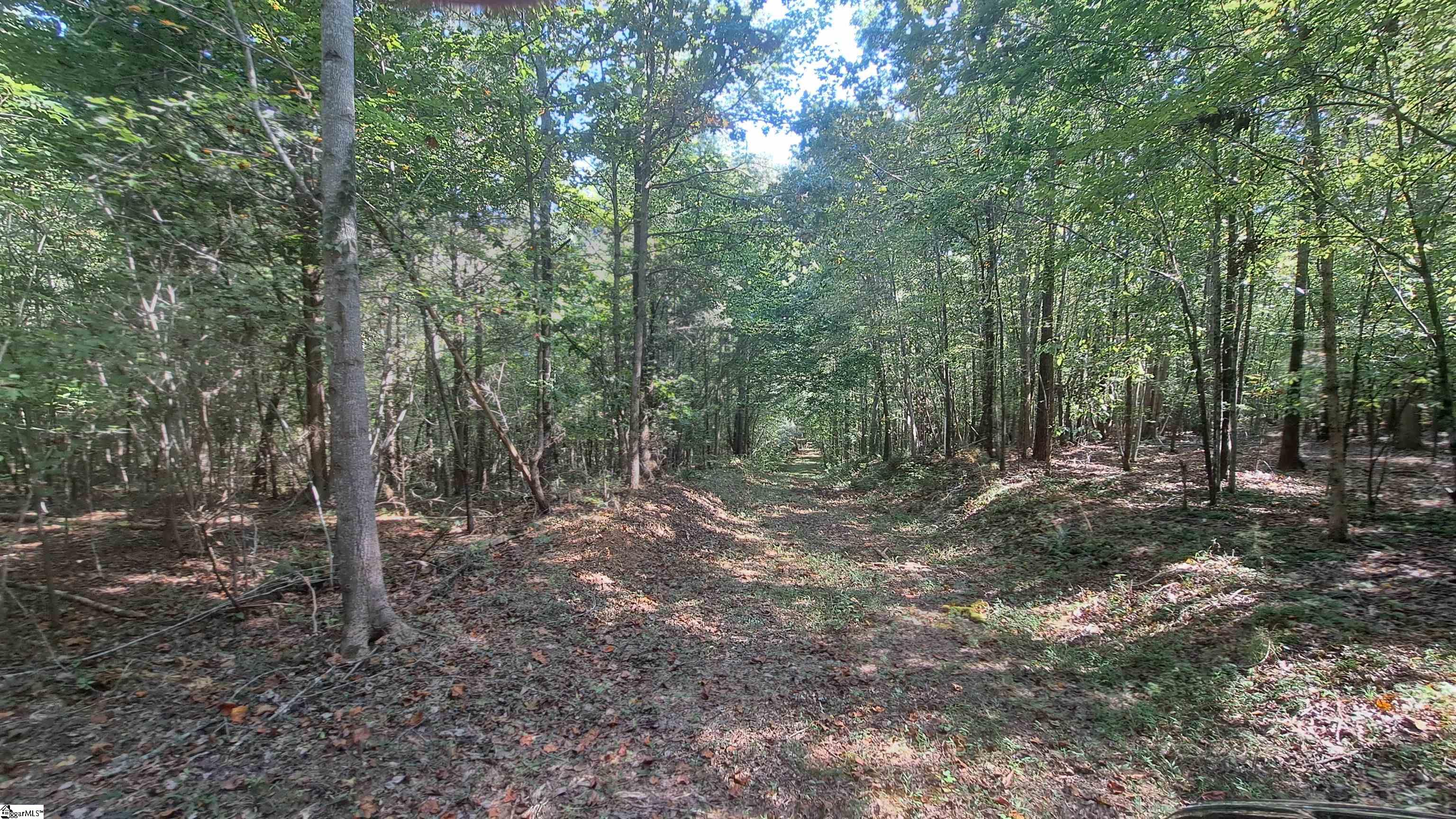 726 Bill Pearson Road Woodruff, SC 29388