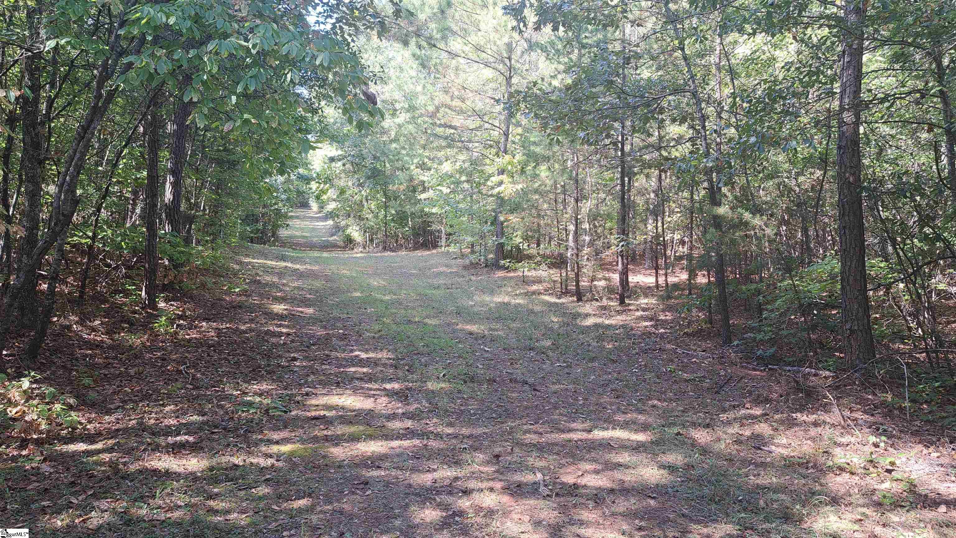 726 Bill Pearson Road Woodruff, SC 29388