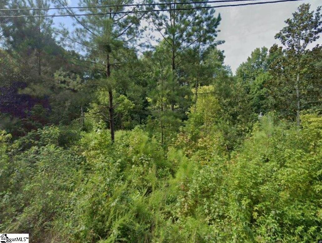 00 Caroline Street Laurens, SC 29360