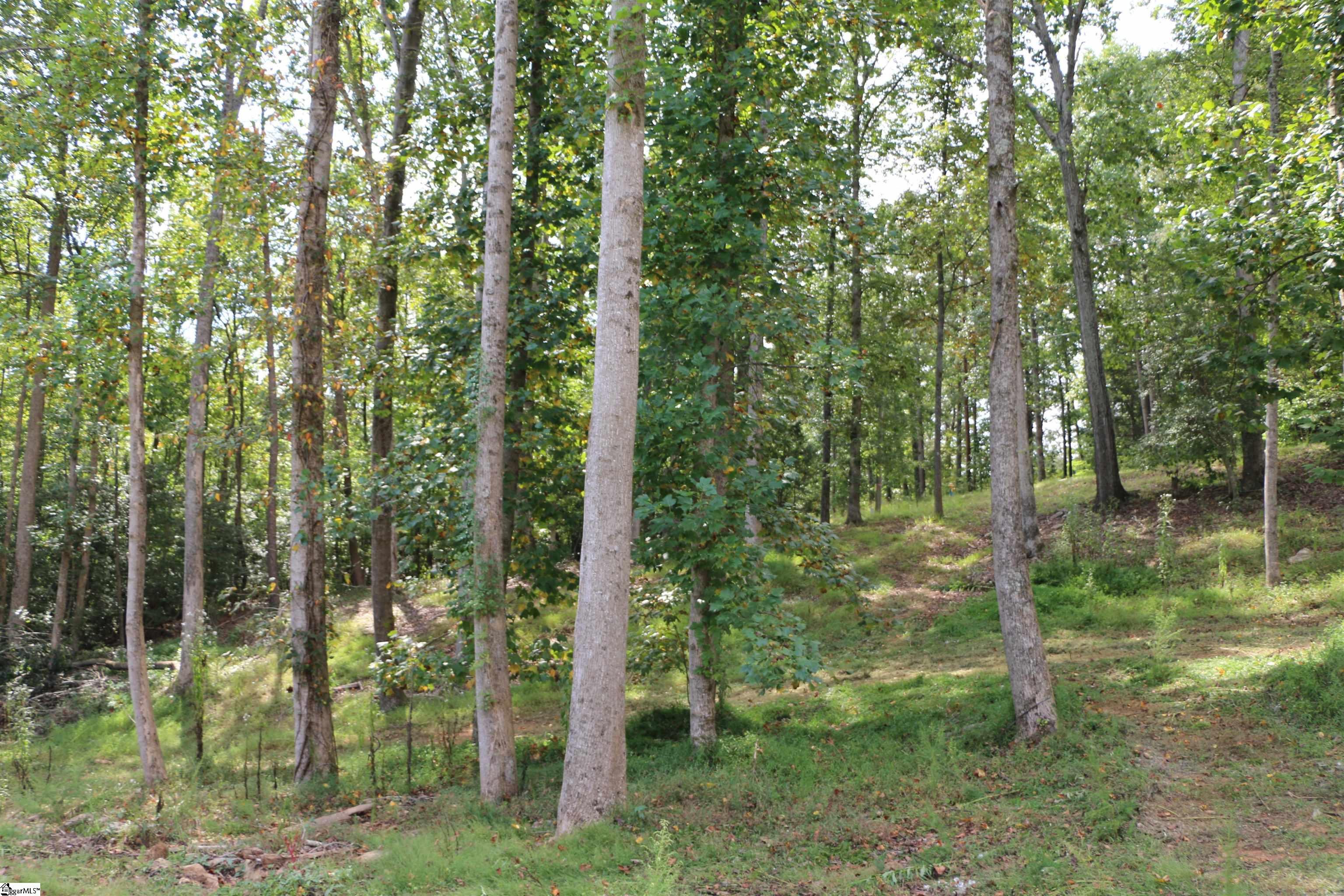 111 River Ridge Drive Moore, SC 29369