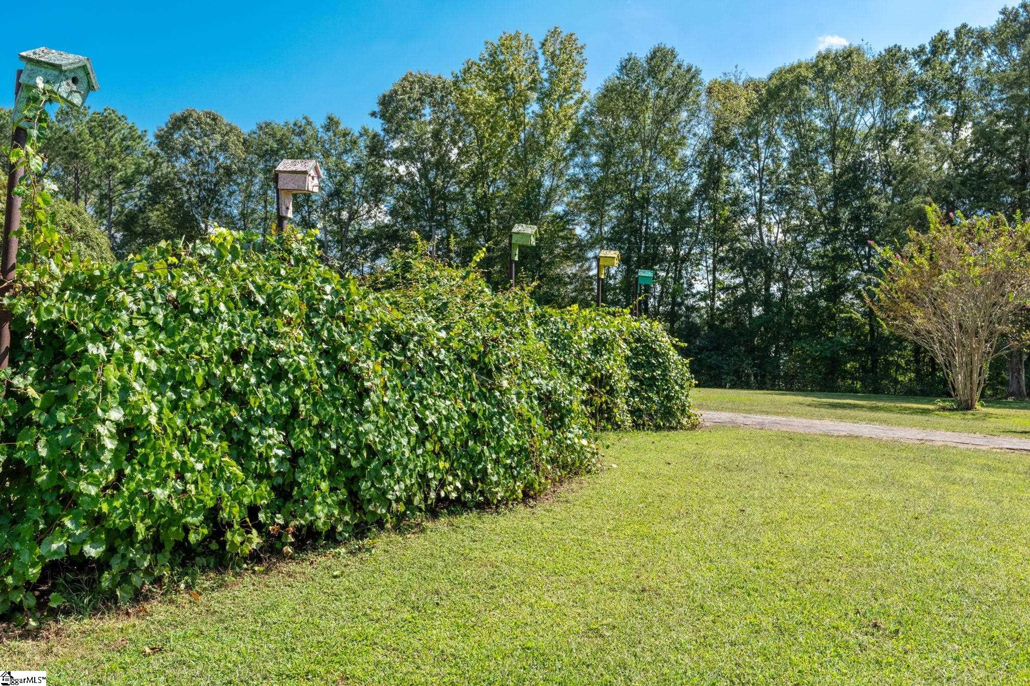 518 McKittrick Bridge Road Fountain Inn, SC 29644