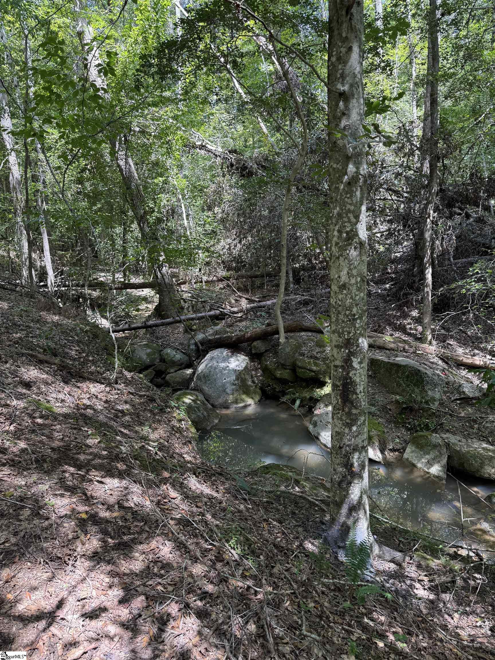 518 McKittrick Bridge Road Fountain Inn, SC 29644