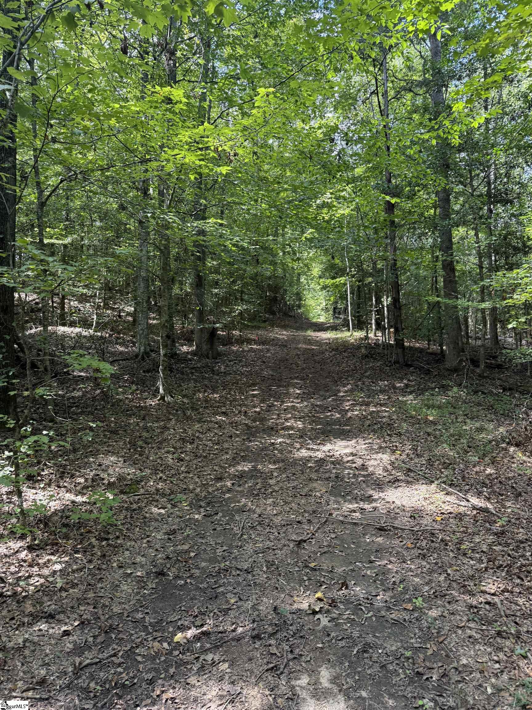 518 McKittrick Bridge Road Fountain Inn, SC 29644