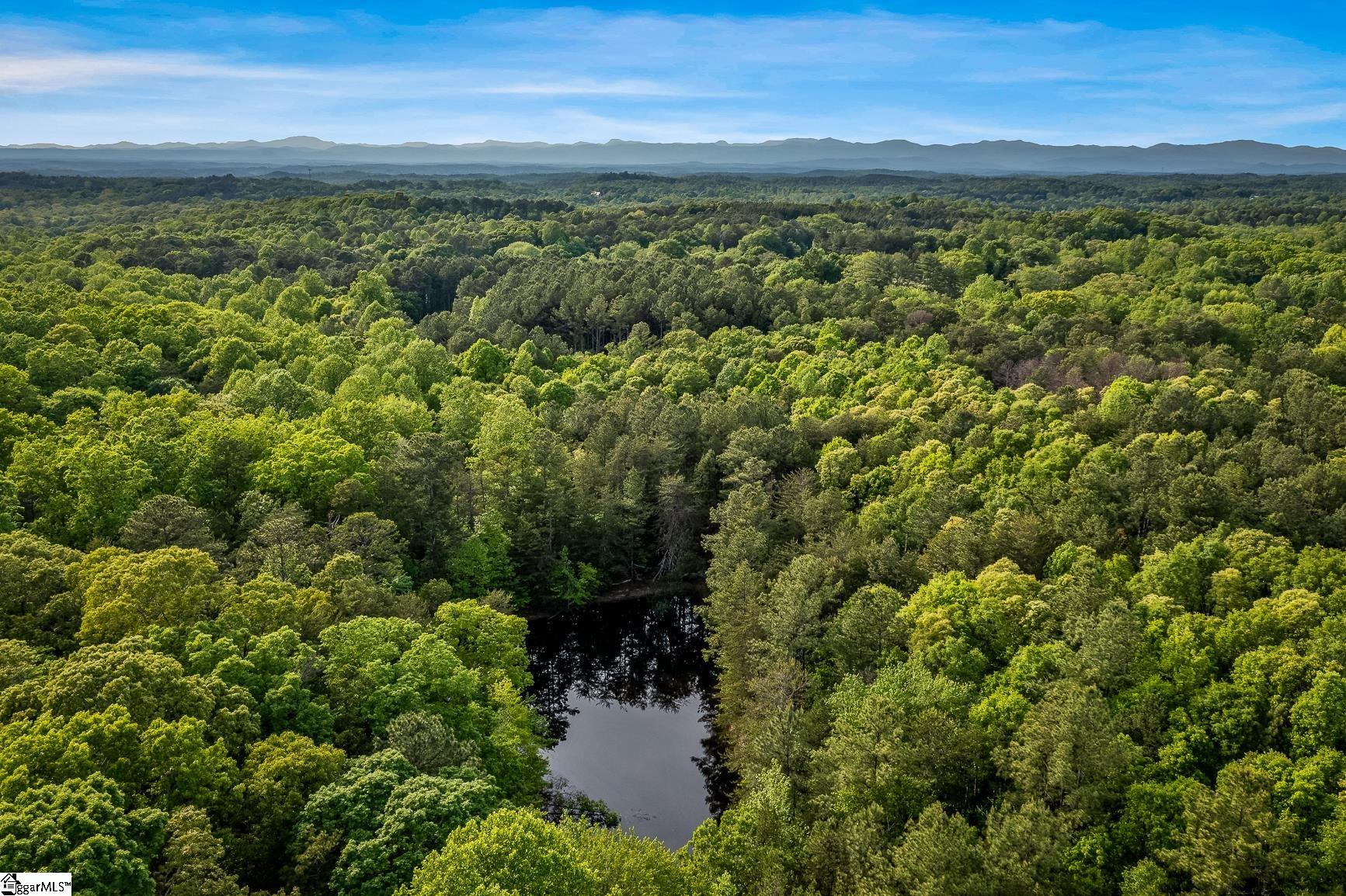 000 Bluebird Lane Six Mile, SC 29682