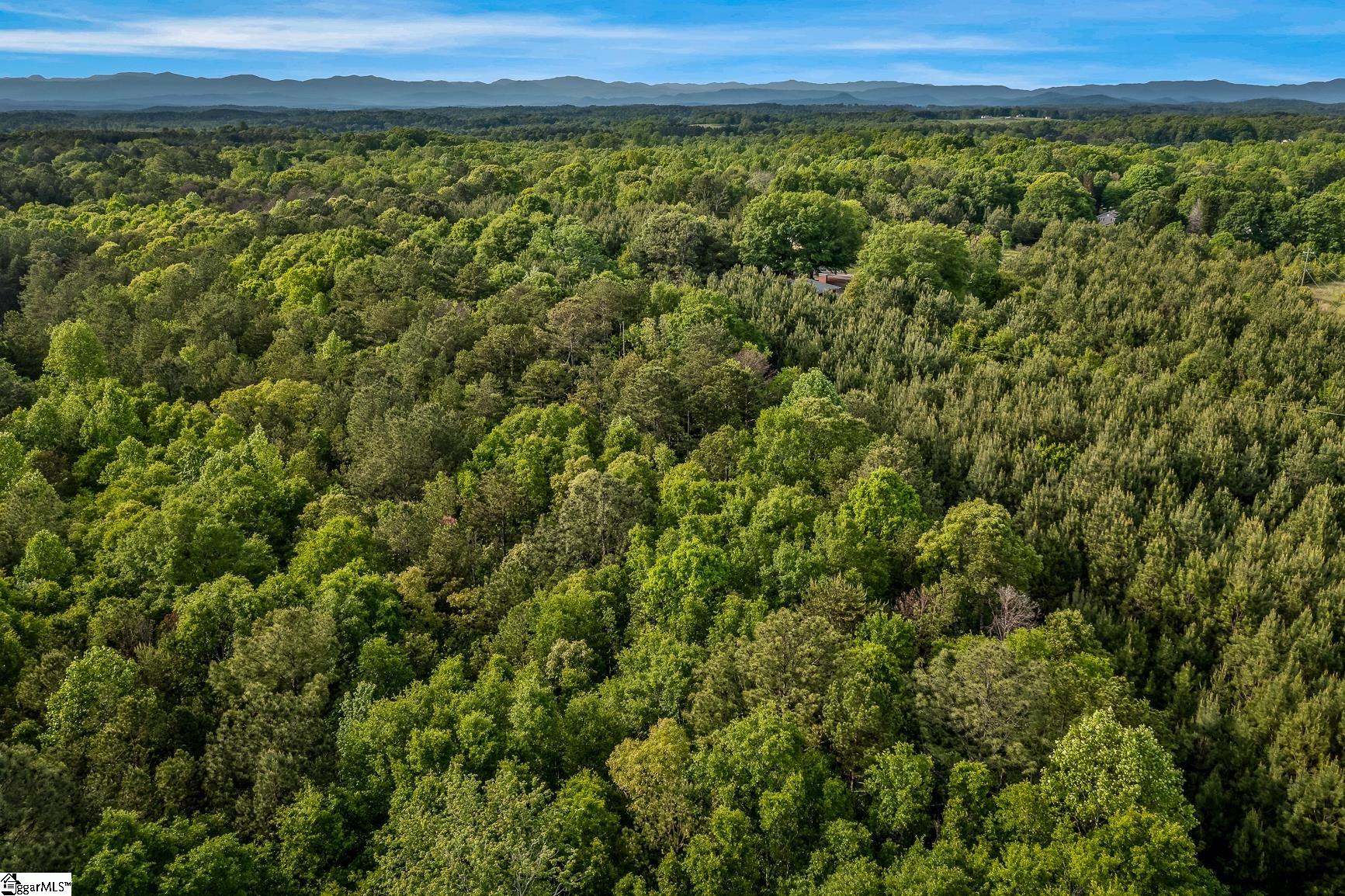 000 Bluebird Lane Six Mile, SC 29682