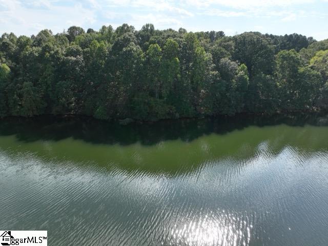 355 Gibbs Road Wellford, SC 29385