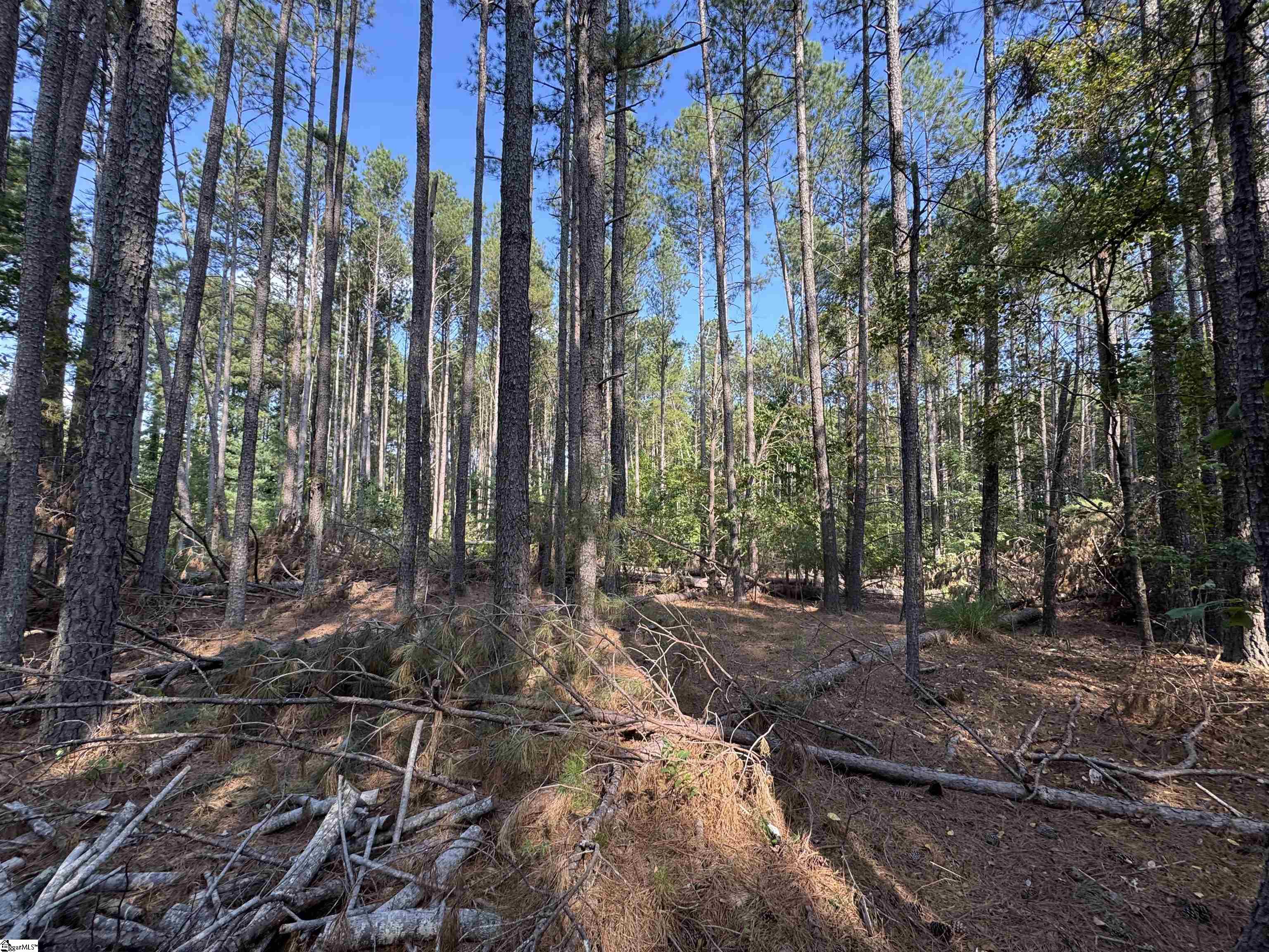 355 Gibbs Road Wellford, SC 29385