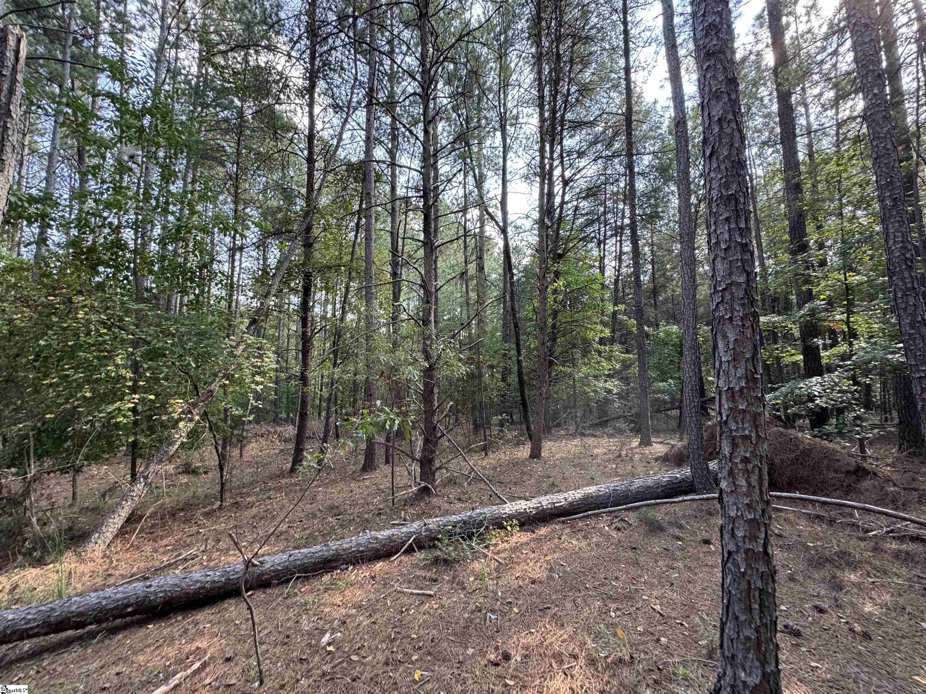 355 Gibbs Road Wellford, SC 29385