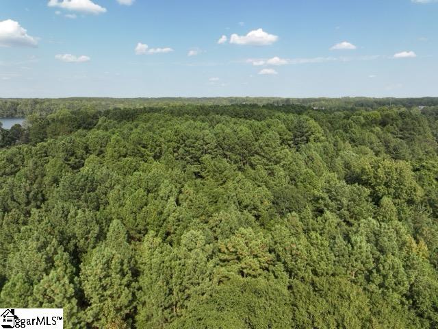 355 Gibbs Road Wellford, SC 29385