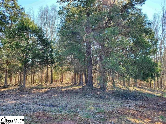 00 Catalan Court UNIT Lot 6 Fountain Inn, SC 29644