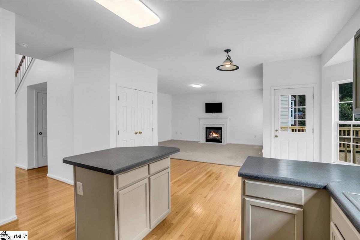 255 Highgate Circle Greer, SC 29650