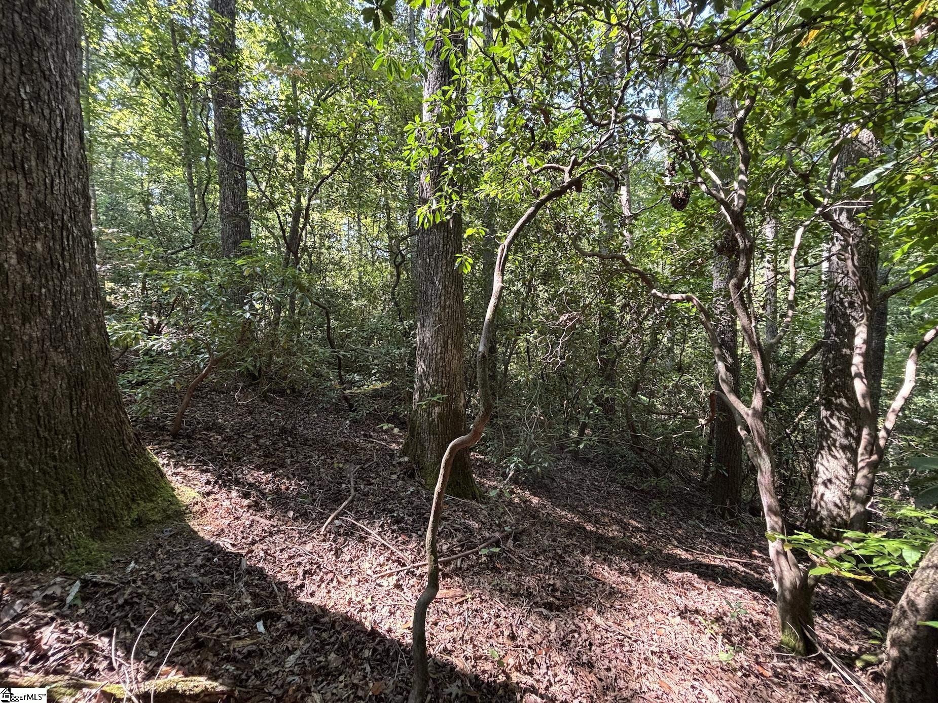 00 Whitewater Lake Road Salem, SC 29686