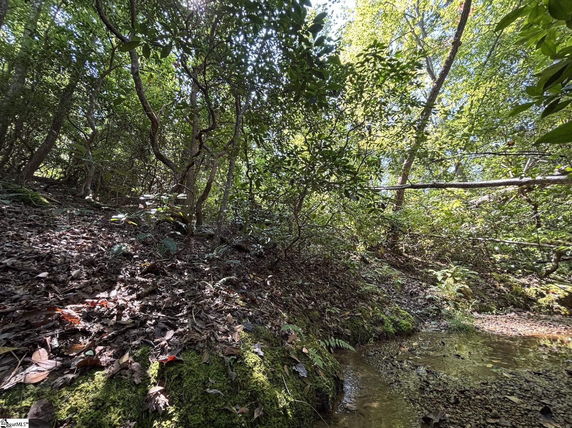 00 Whitewater Lake Road Salem, SC 29686