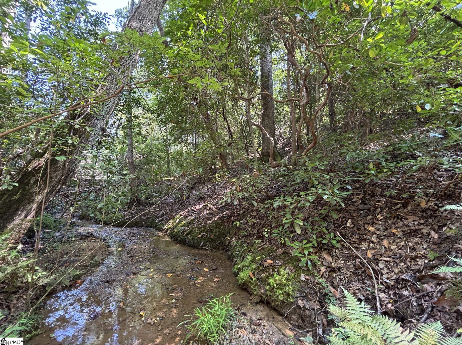 00 Whitewater Lake Road Salem, SC 29686