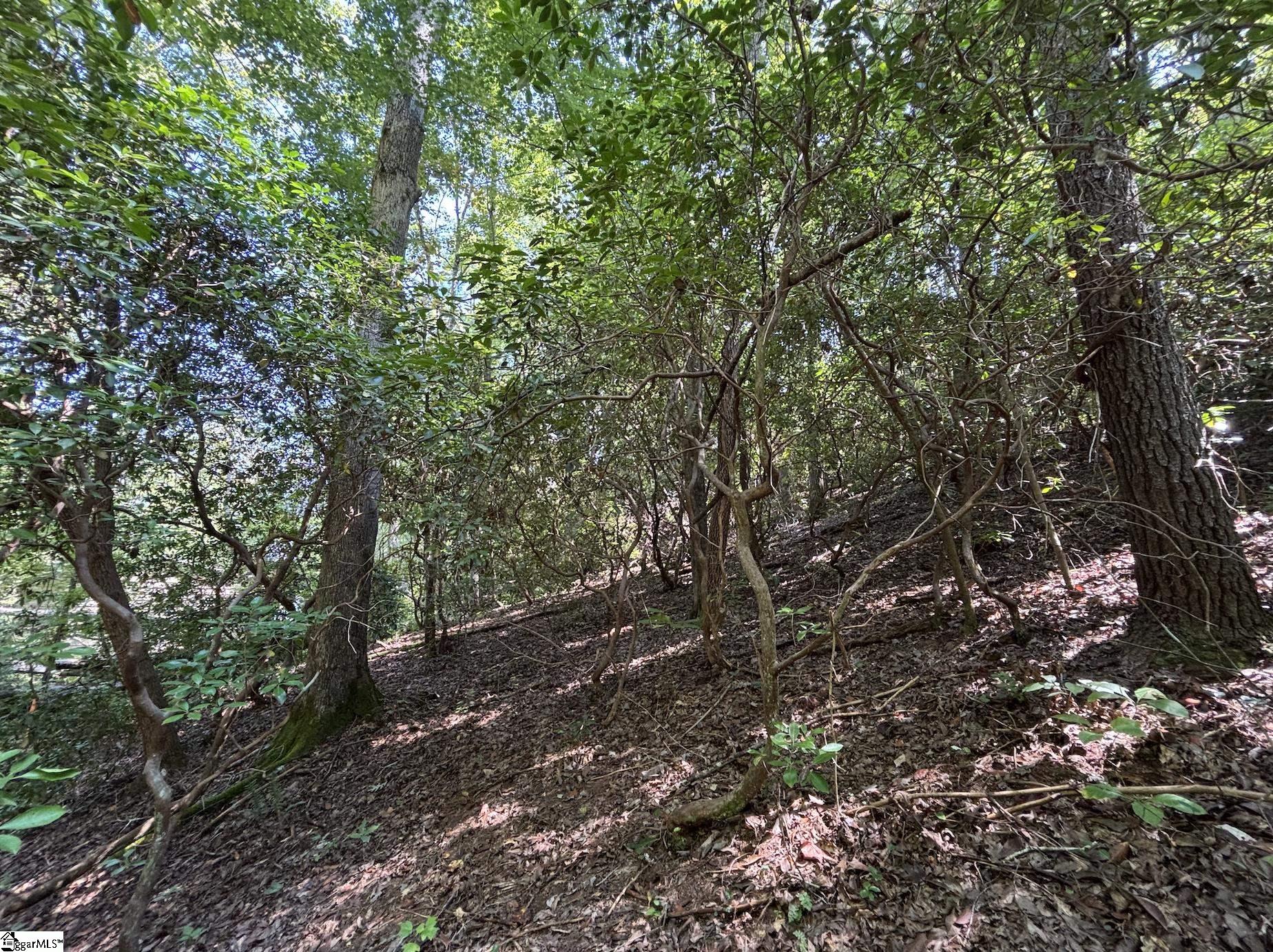 00 Whitewater Lake Road Salem, SC 29686