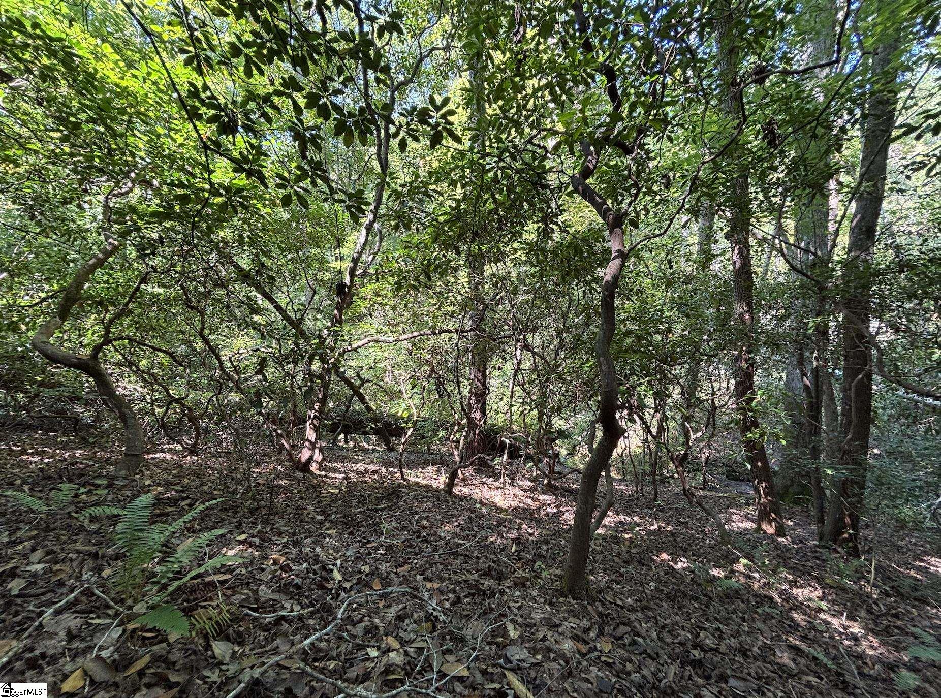 00 Whitewater Lake Road Salem, SC 29686
