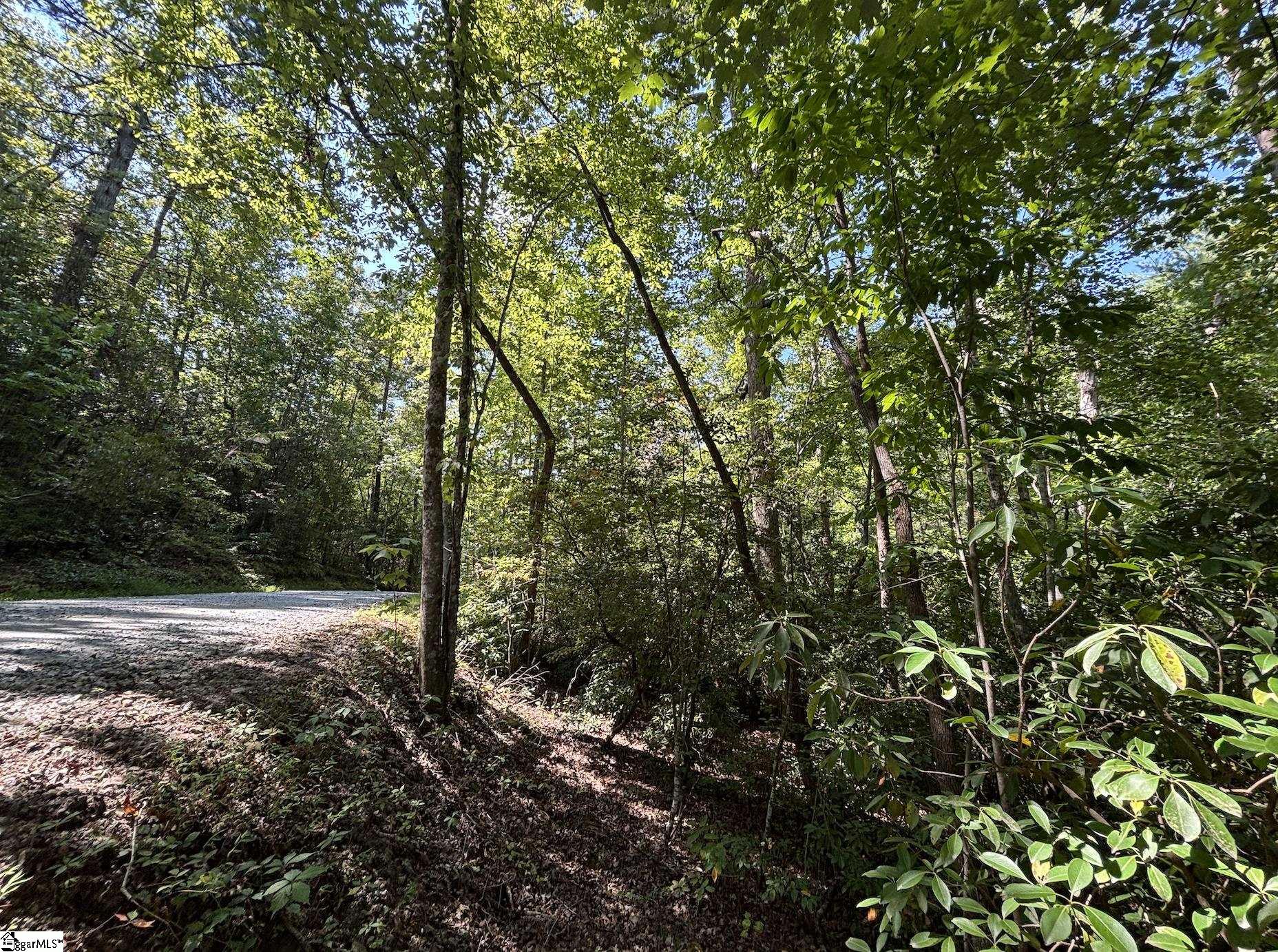 00 Whitewater Lake Road Salem, SC 29686