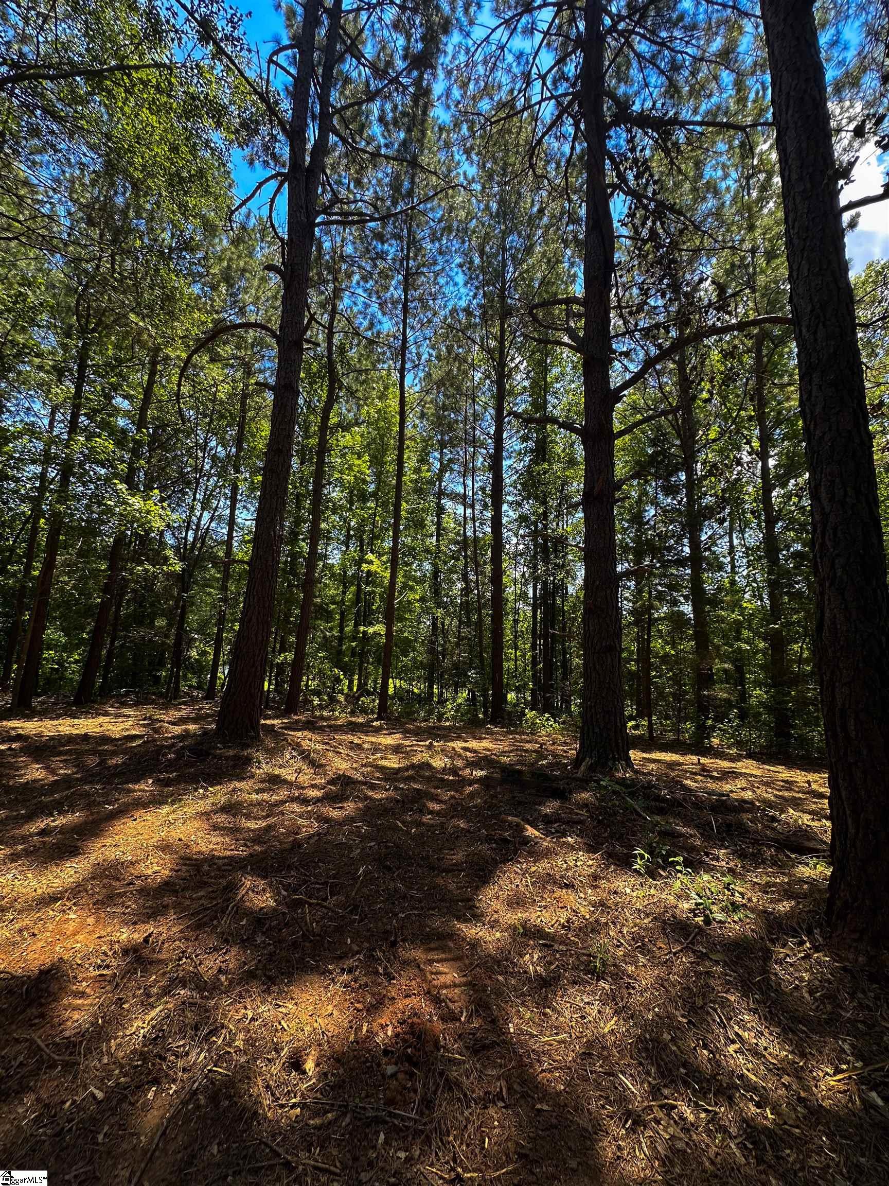 40 Joe Oulla Road Ware Shoals, SC 29692