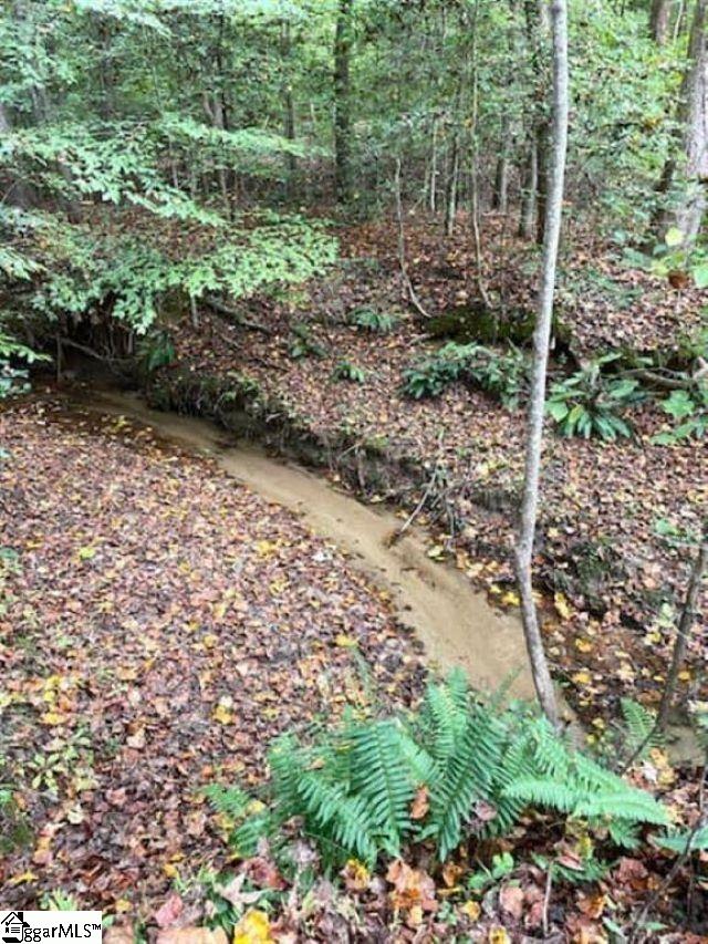 00 Catalan Court UNIT LOT 3- Pennington Farms Fountain Inn, SC 29644