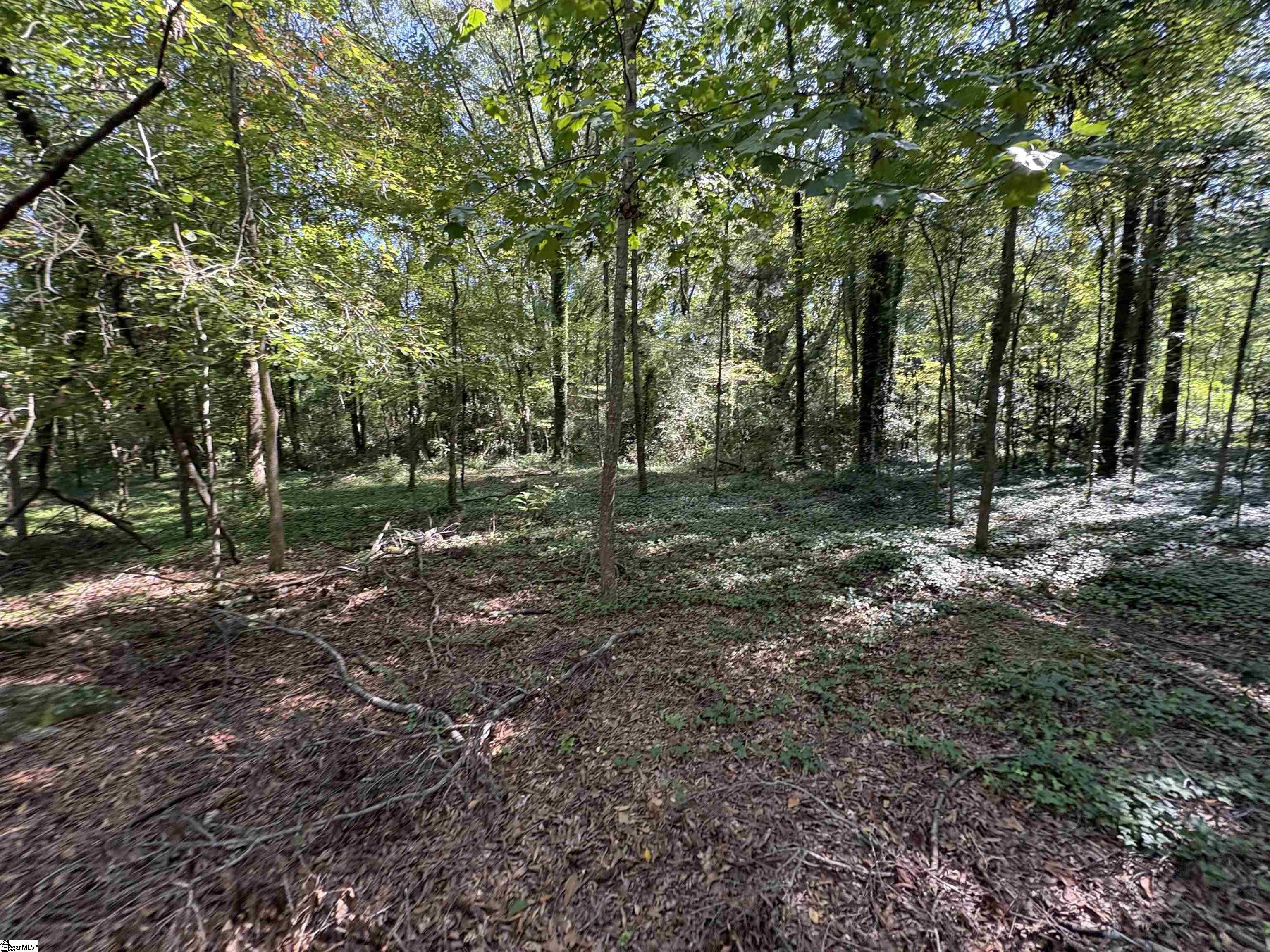 105 Downs Street Laurens, SC 29360