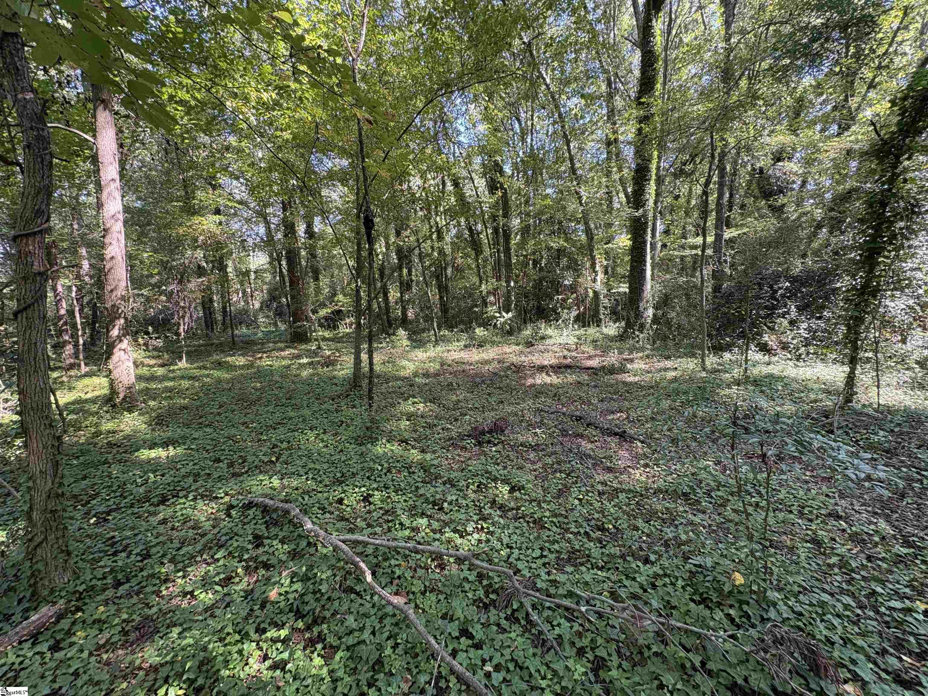 105 Downs Street Laurens, SC 29360