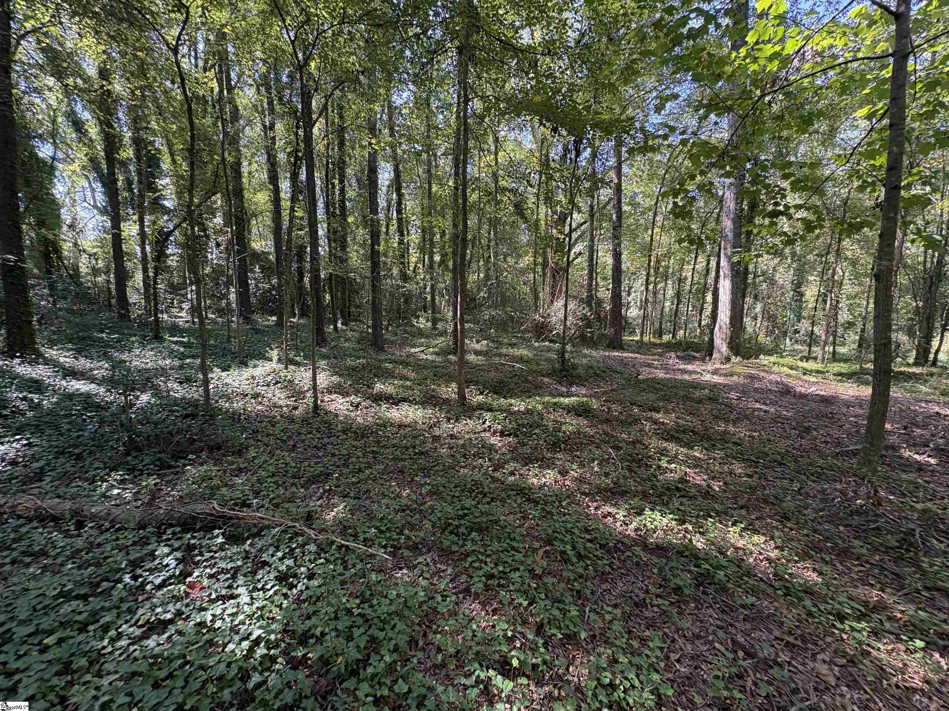 105 Downs Street Laurens, SC 29360