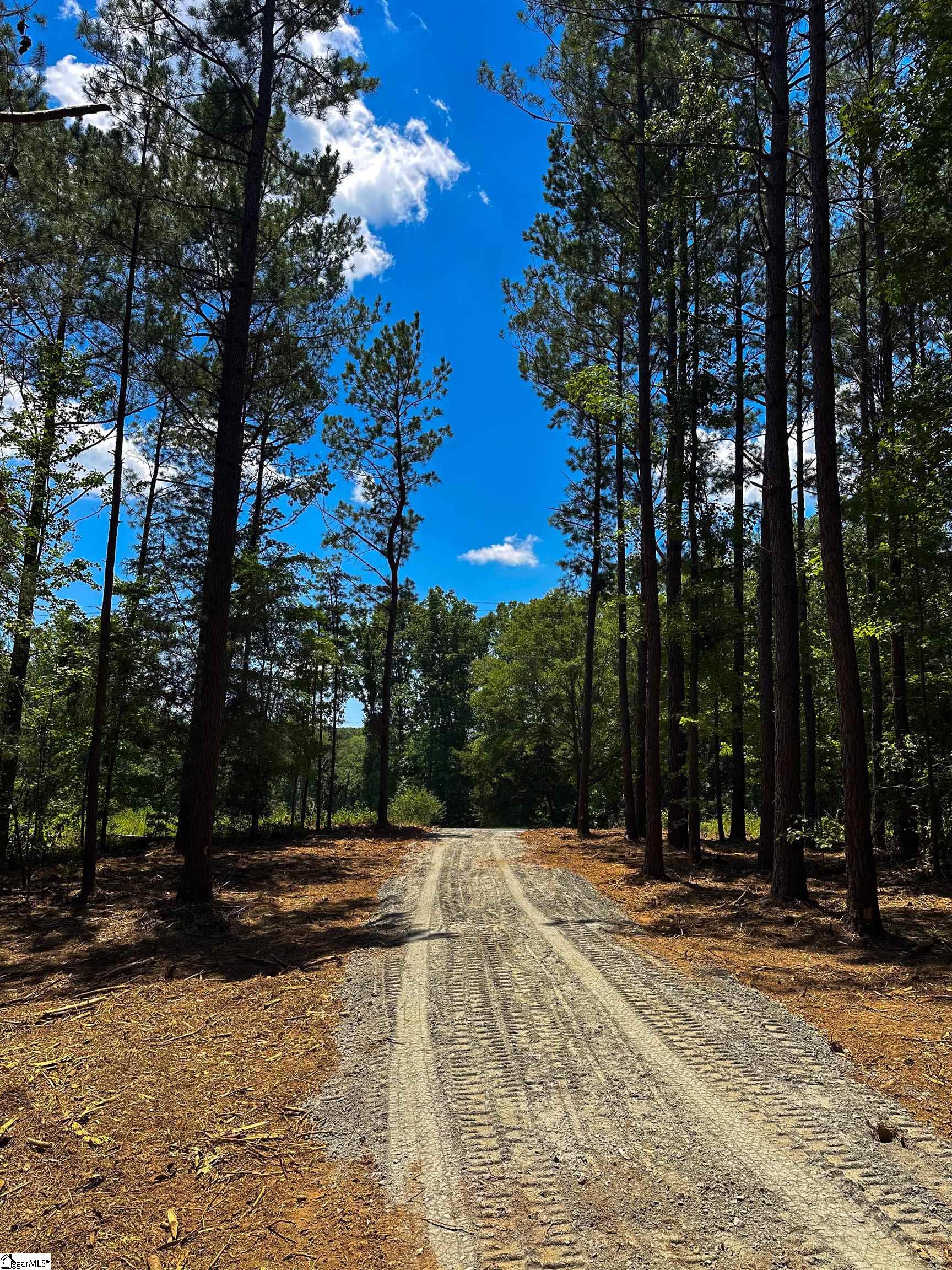 03 Joe Oulla Road Ware Shoals, SC 29692