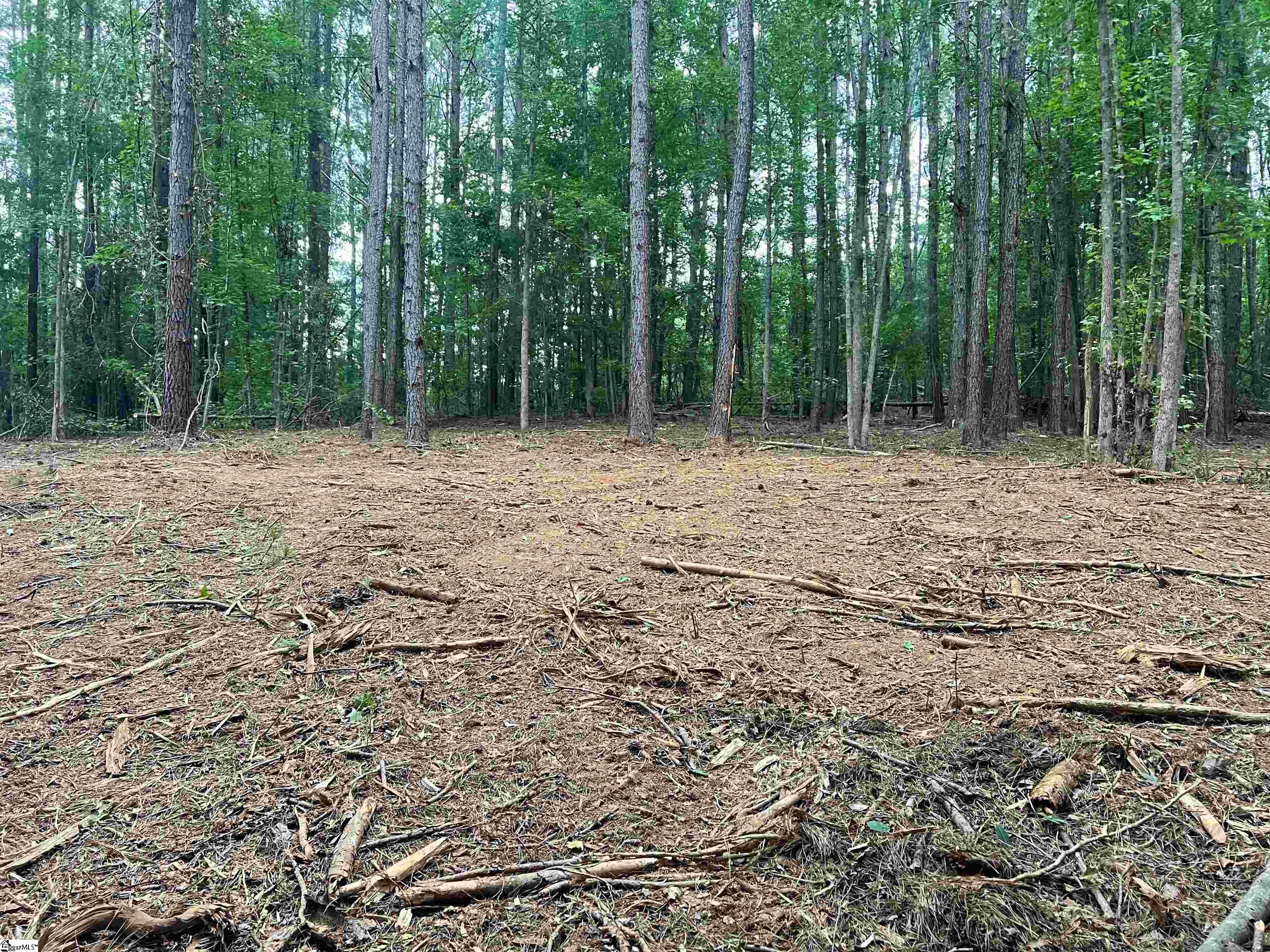03 Joe Oulla Road Ware Shoals, SC 29692