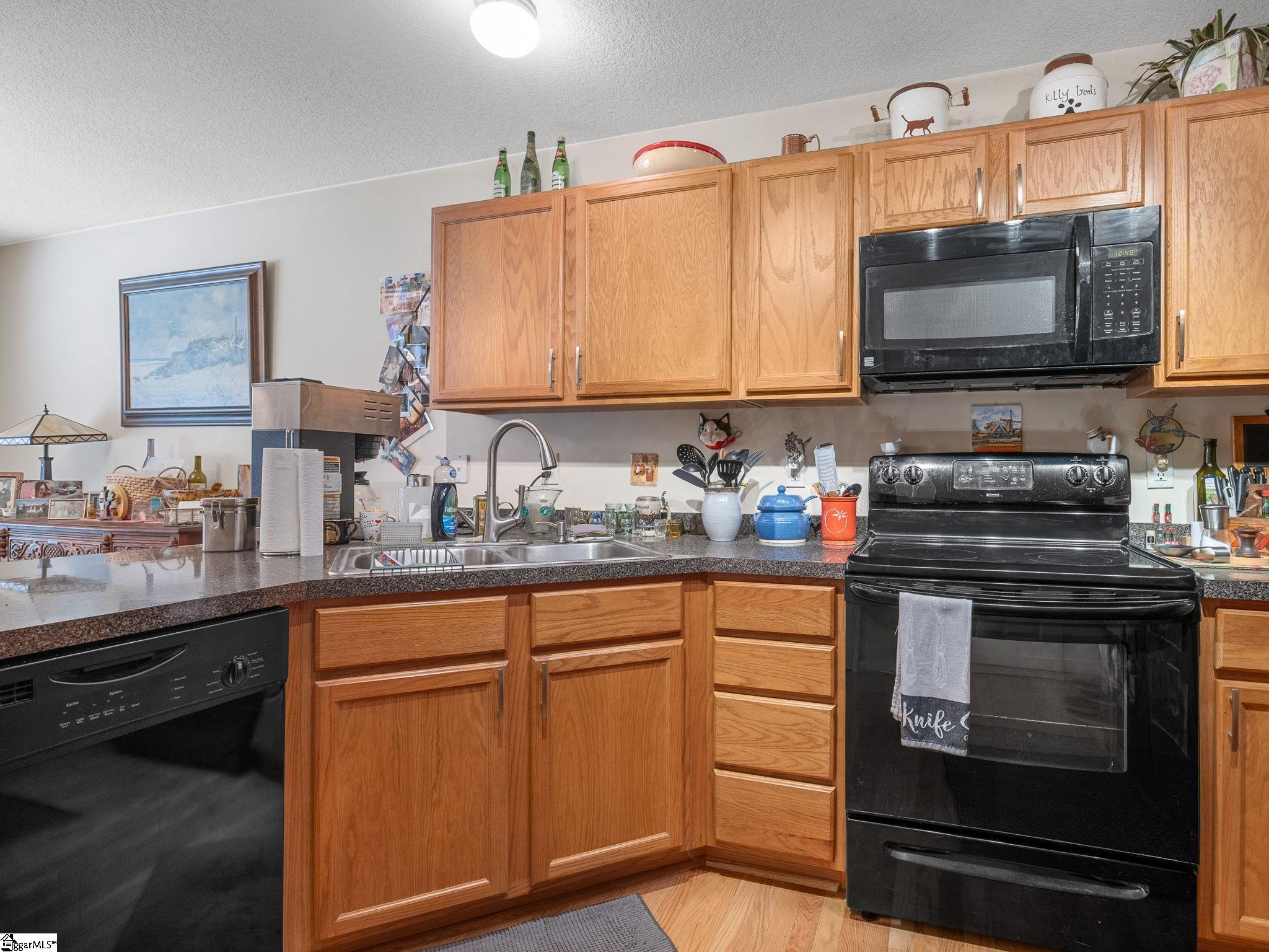 29 Sacha Lane Travelers Rest, SC 29690