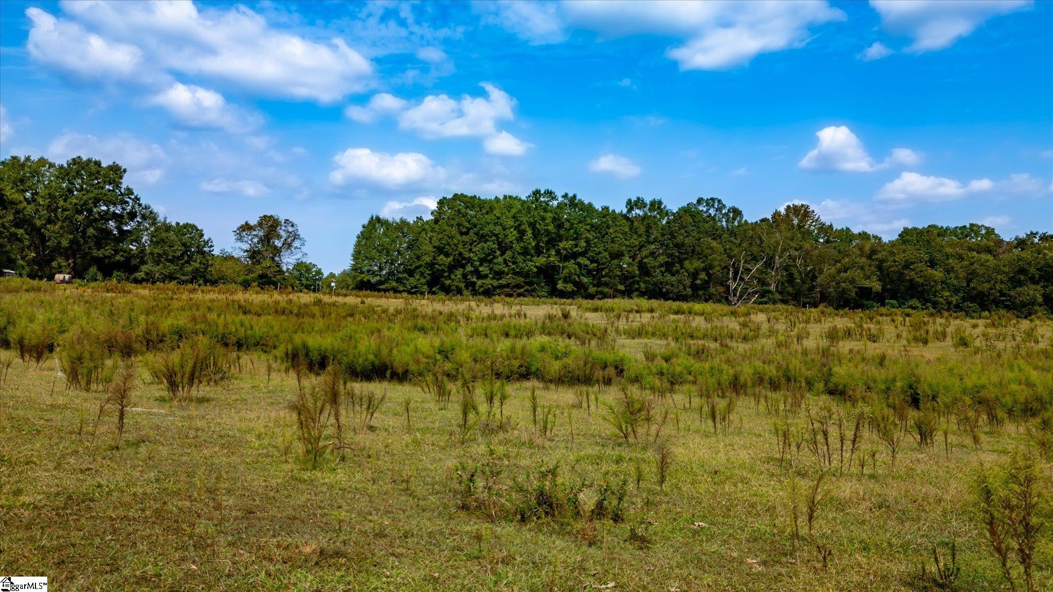169 Cooley Bridge Road Pelzer, SC 29669