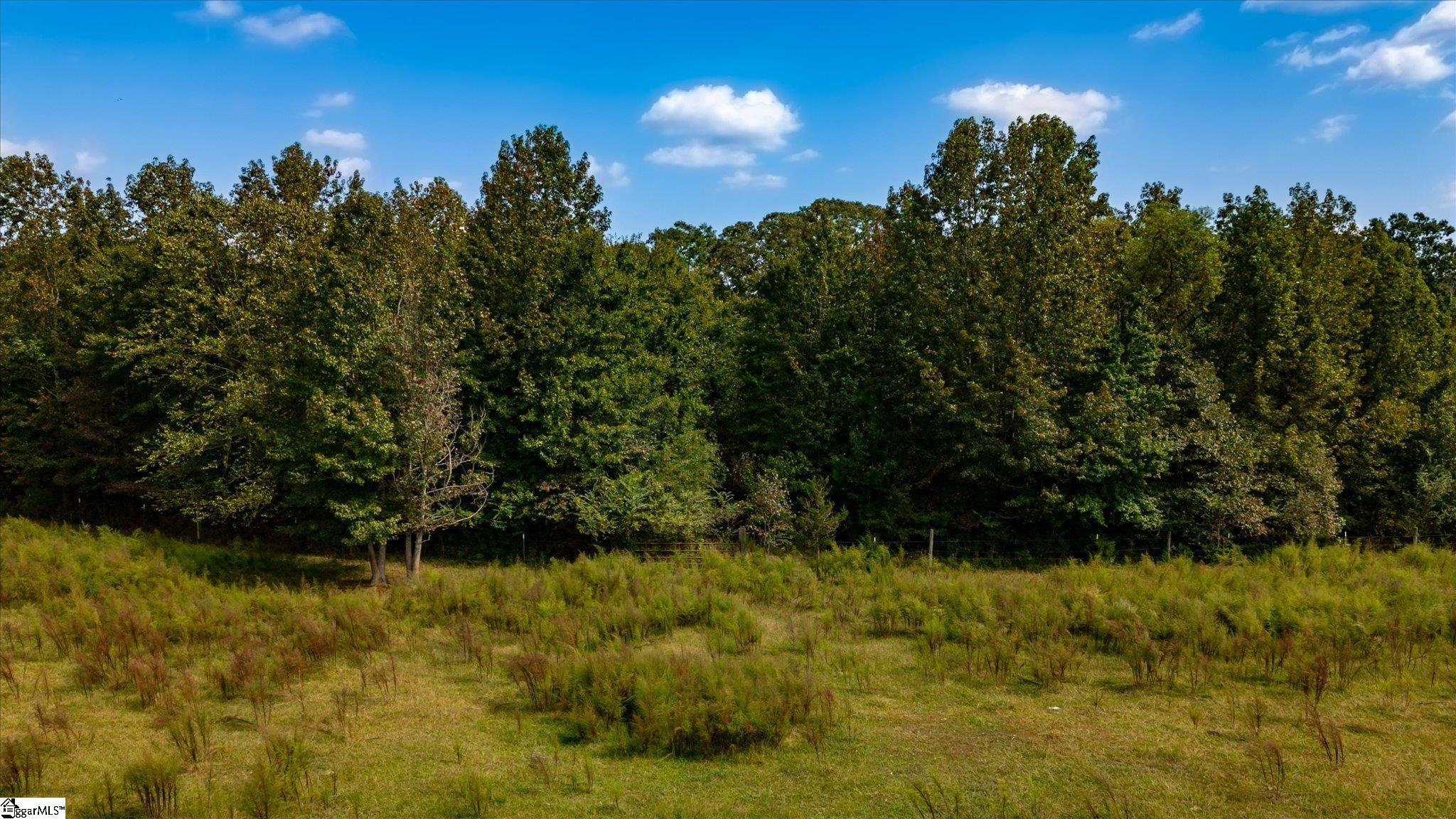 169 Cooley Bridge Road Pelzer, SC 29669