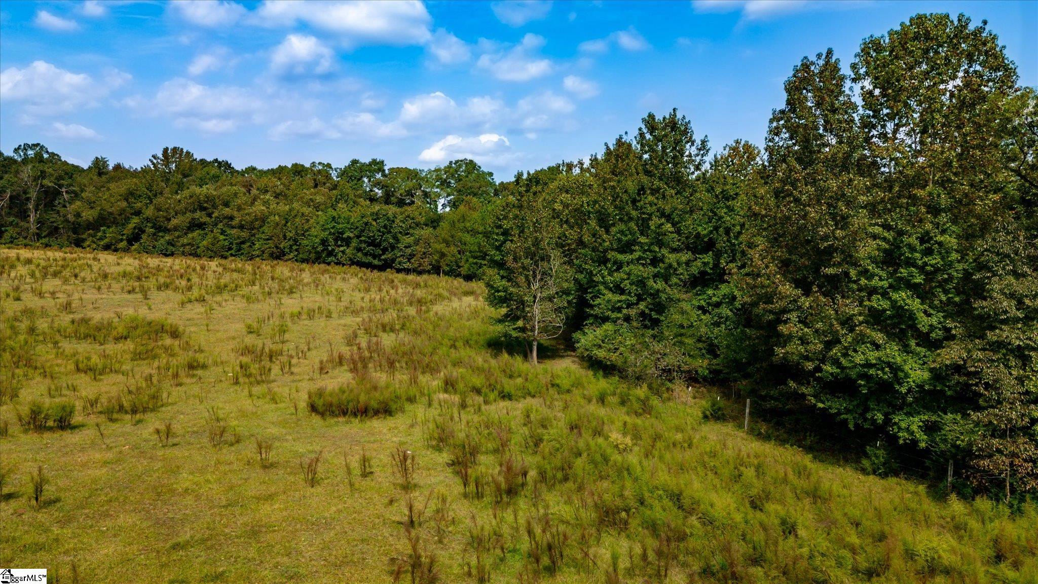 169 Cooley Bridge Road Pelzer, SC 29669